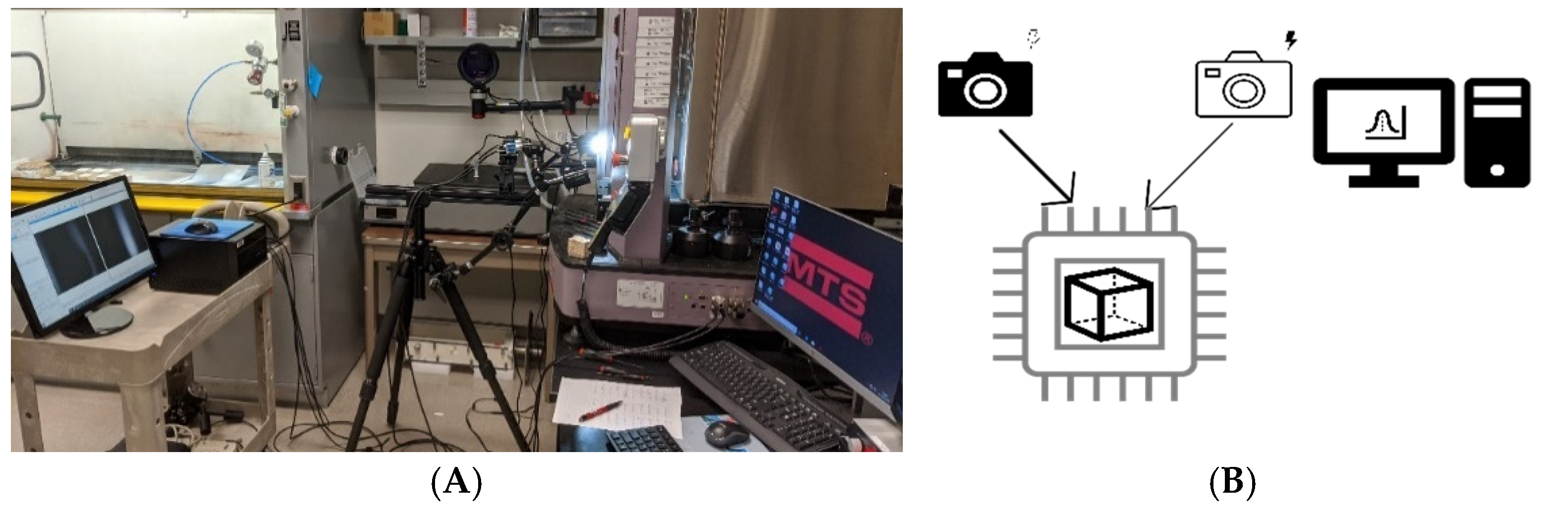 Biomimetics 07 00048 g004