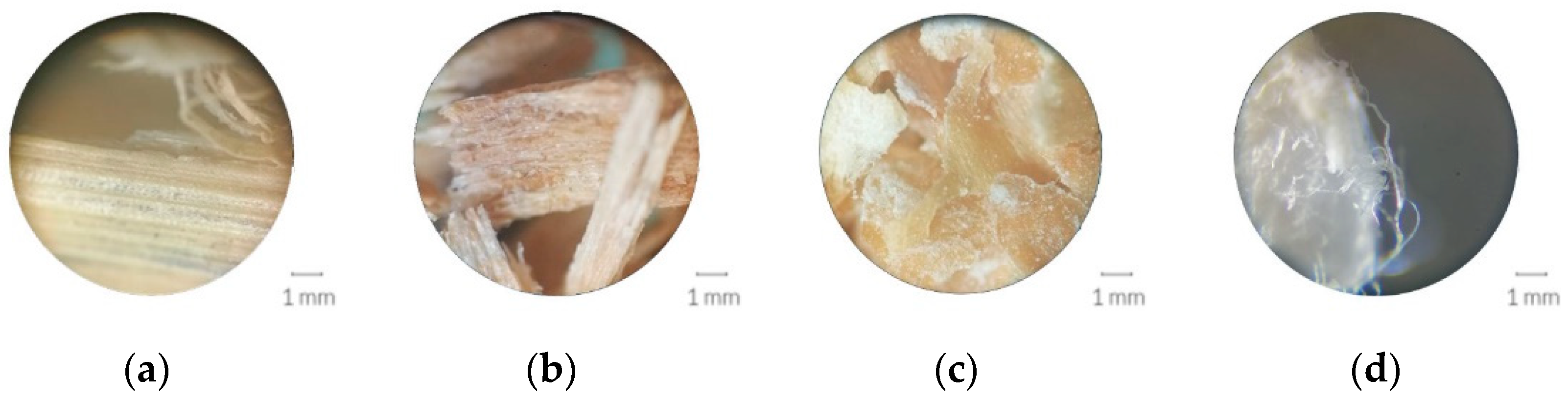 Biomimetics 07 00051 g002 Biomimetics 07 00051 g002
