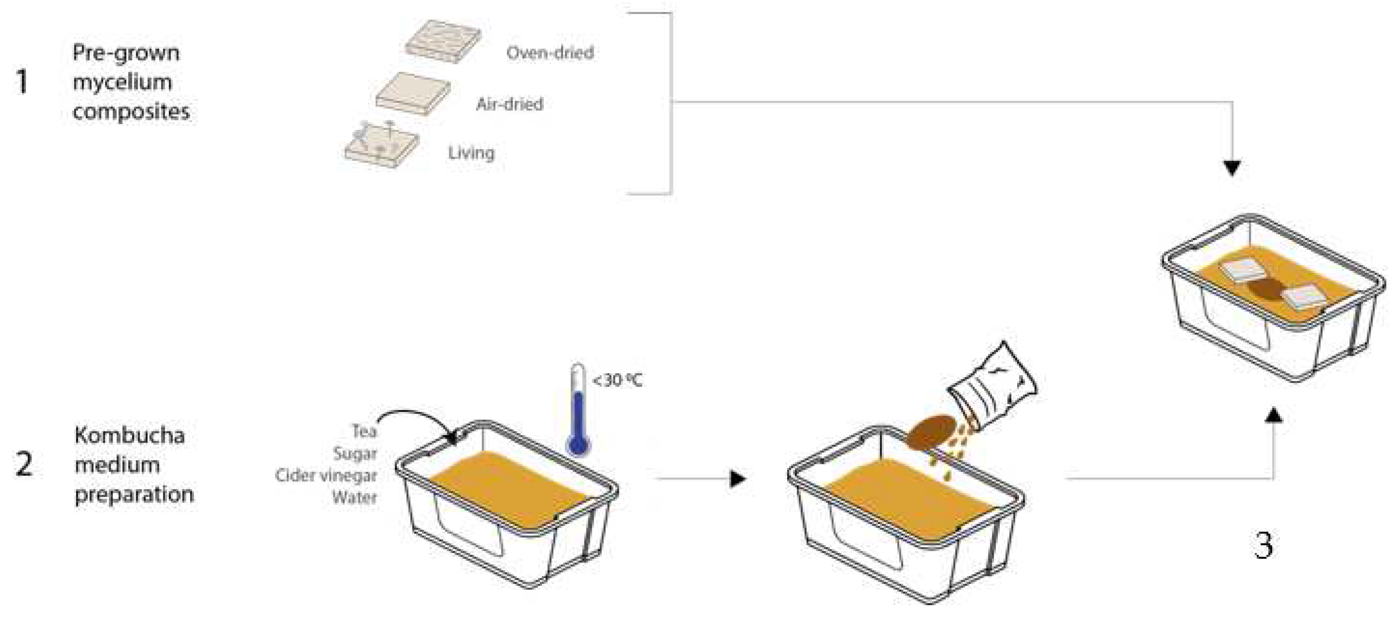 Biomimetics 07 00055 g001