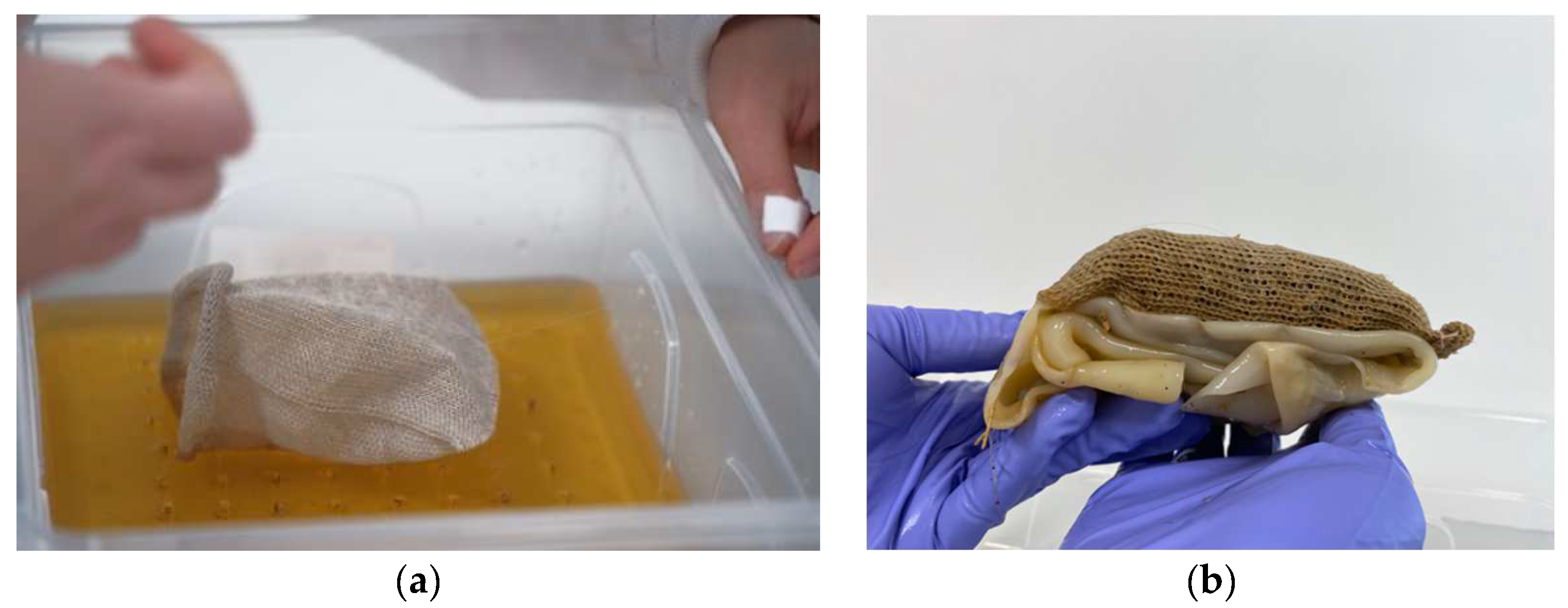 Biomimetics 07 00055 g003