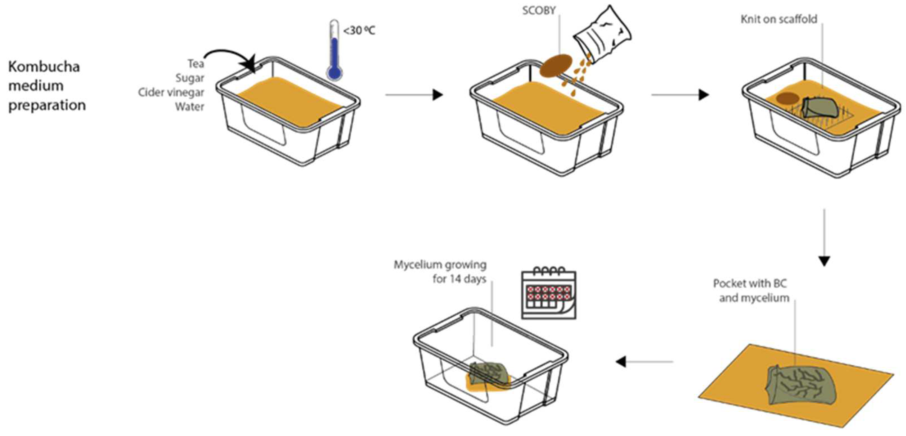 Biomimetics 07 00055 g004