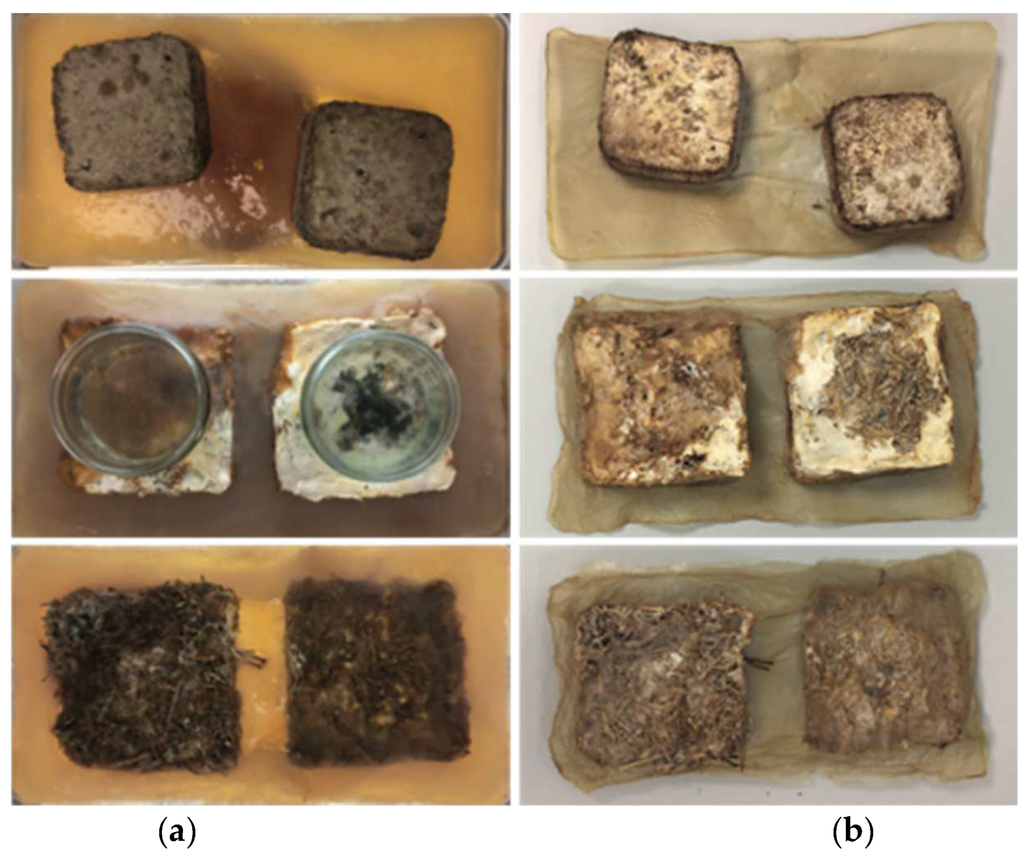 Biomimetics 07 00055 g007