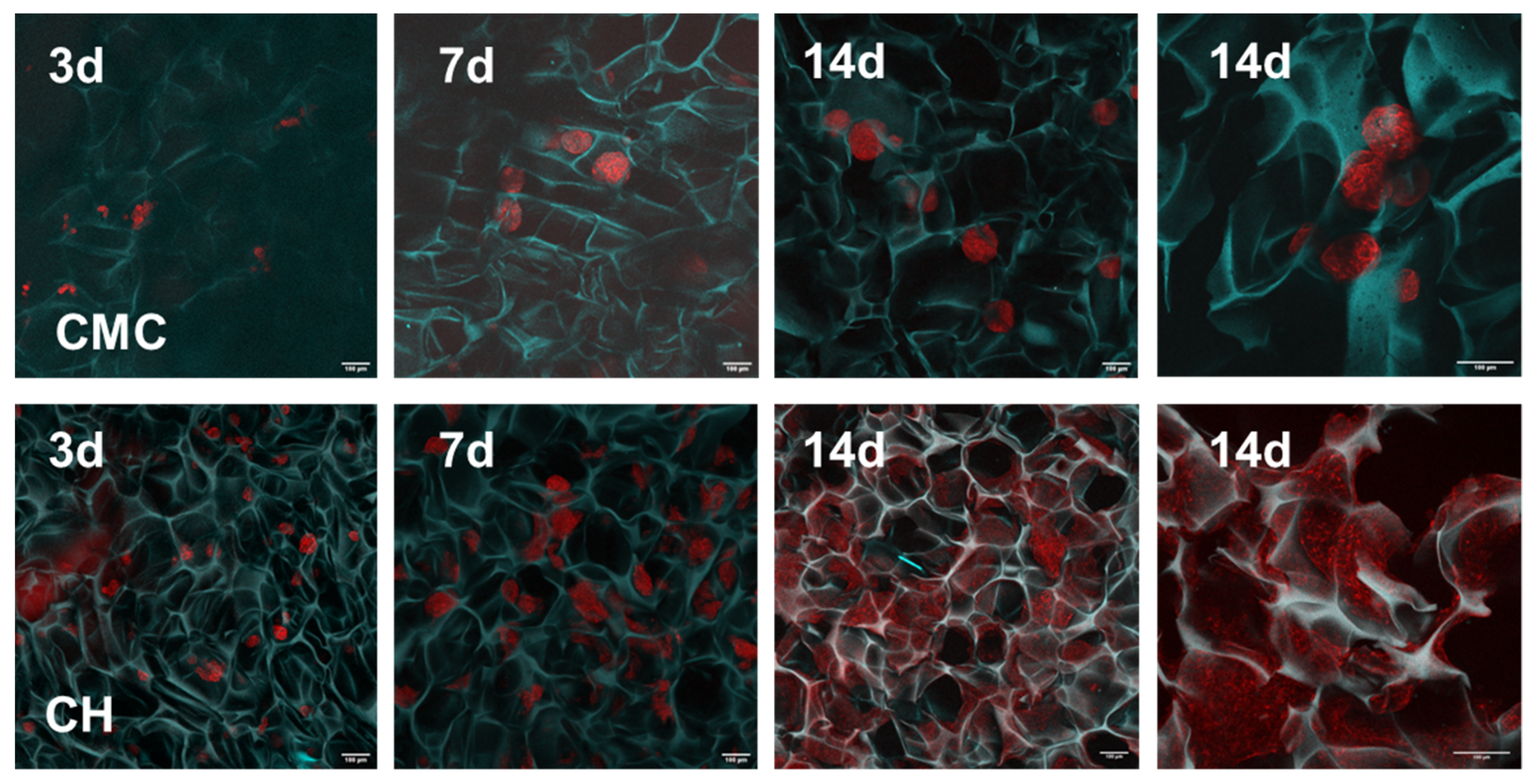 Biomimetics 07 00056 g005