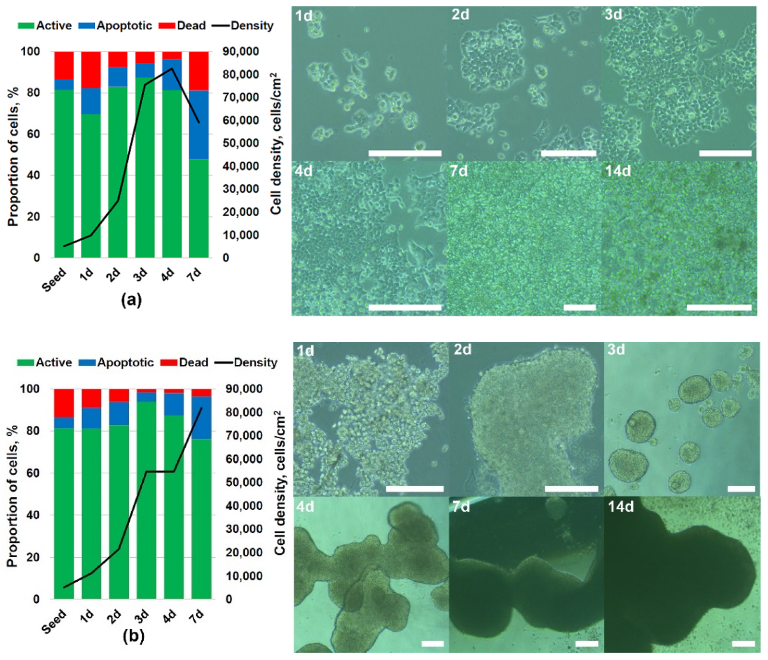 Biomimetics 07 00056 g006