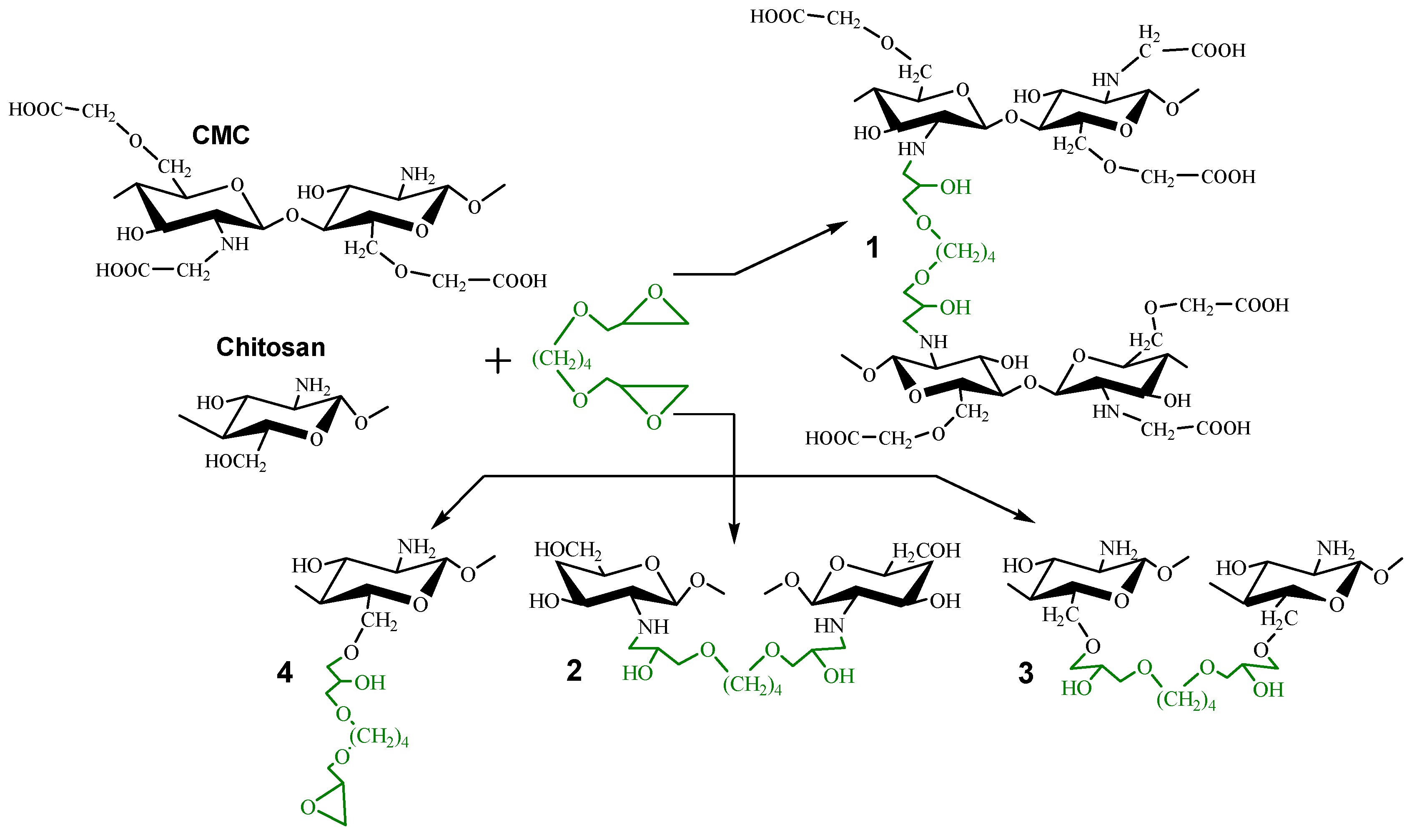 Biomimetics 07 00056 sch001