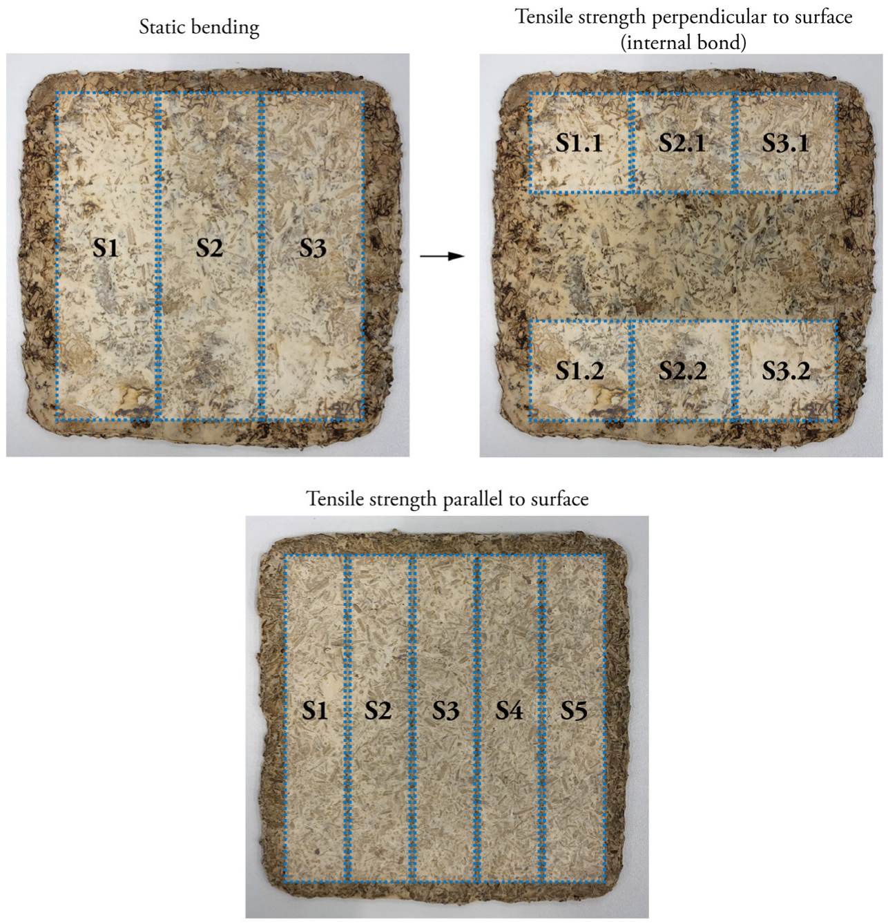 Biomimetics 07 00057 g002