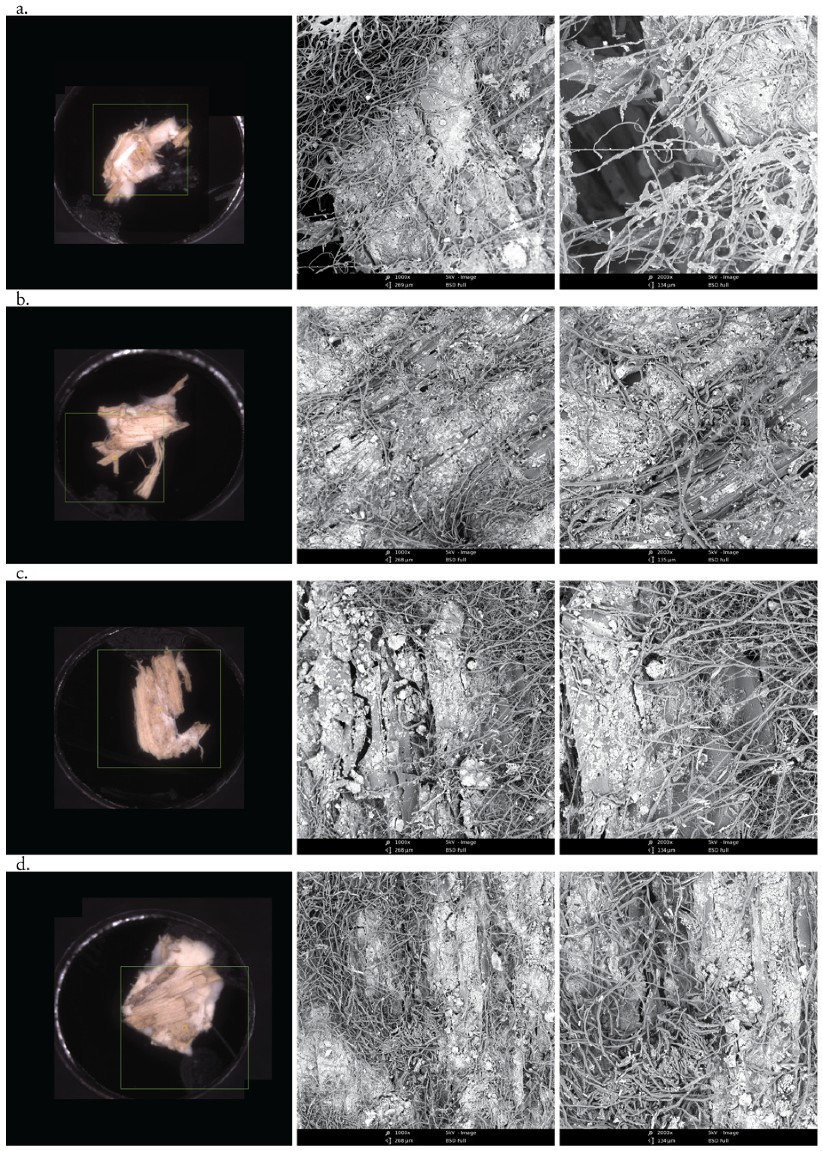 Biomimetics 07 00057 g005