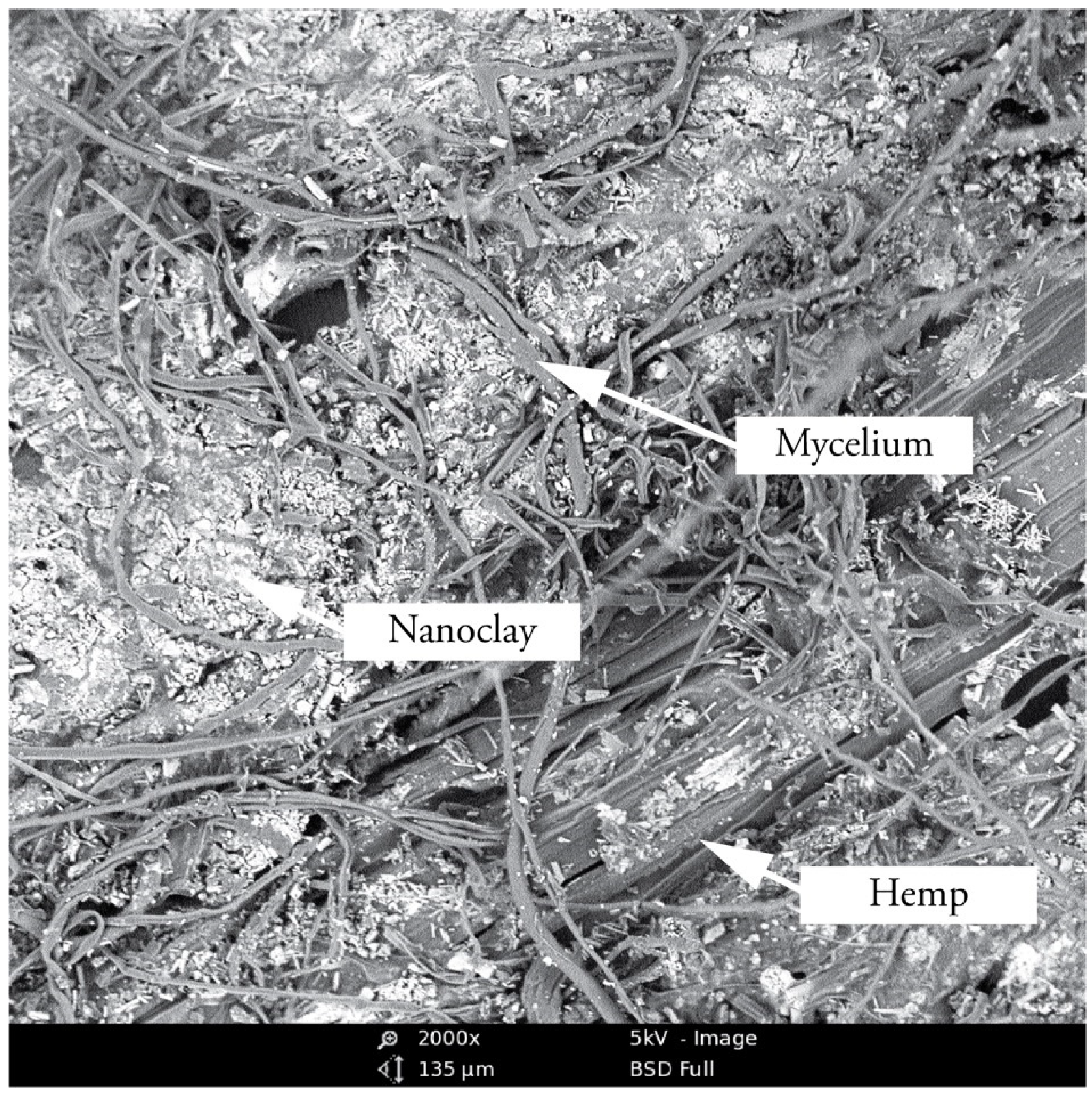 Biomimetics 07 00057 g006
