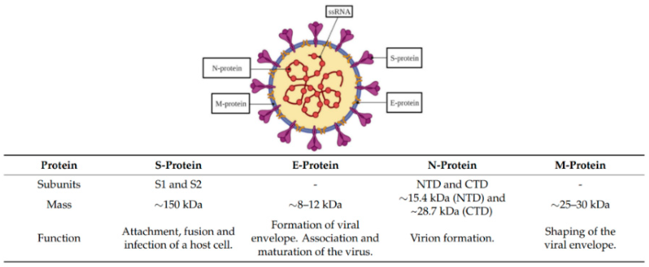 Biomimetics 07 00058 g001