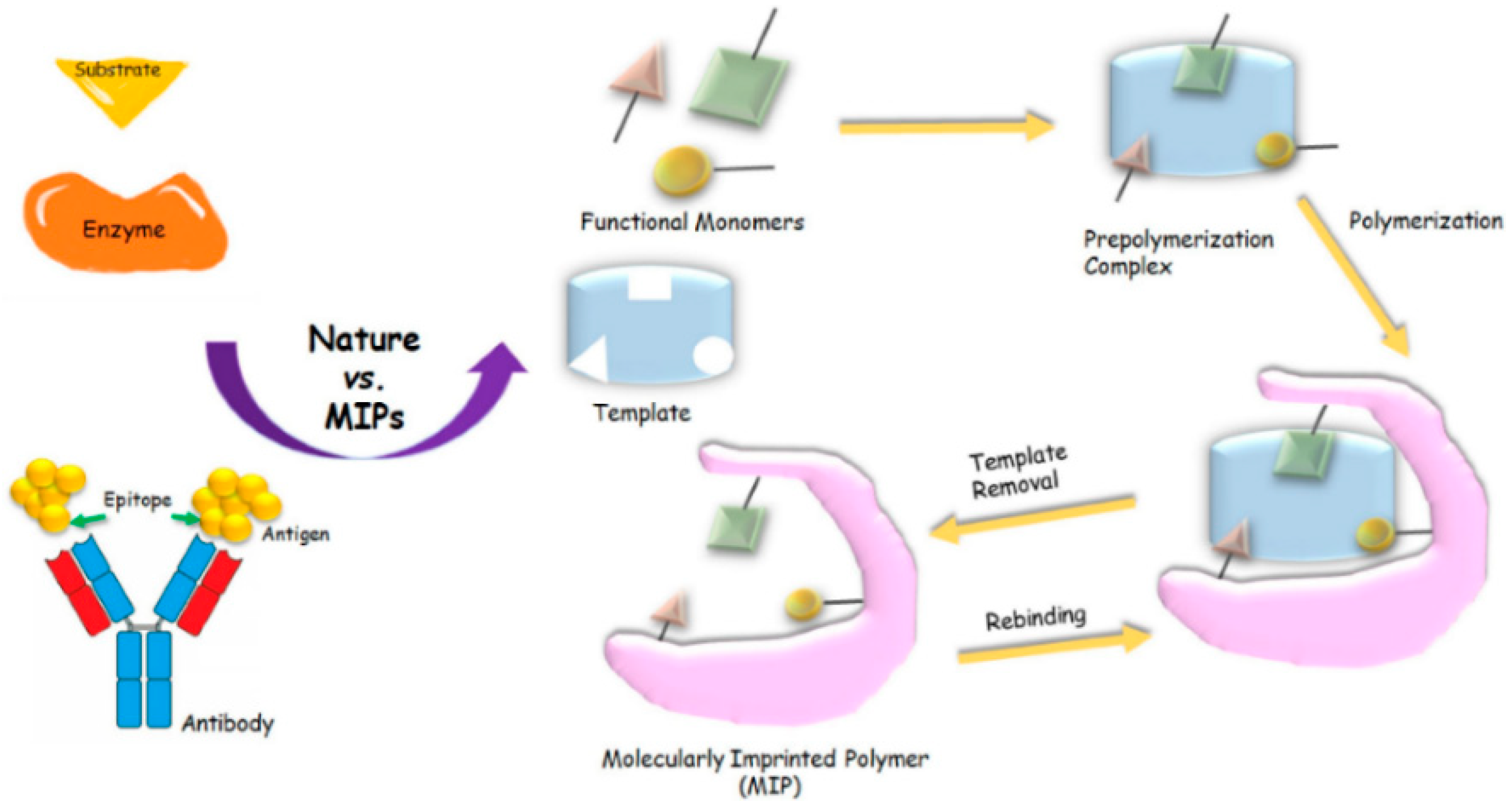 Biomimetics 07 00058 g002