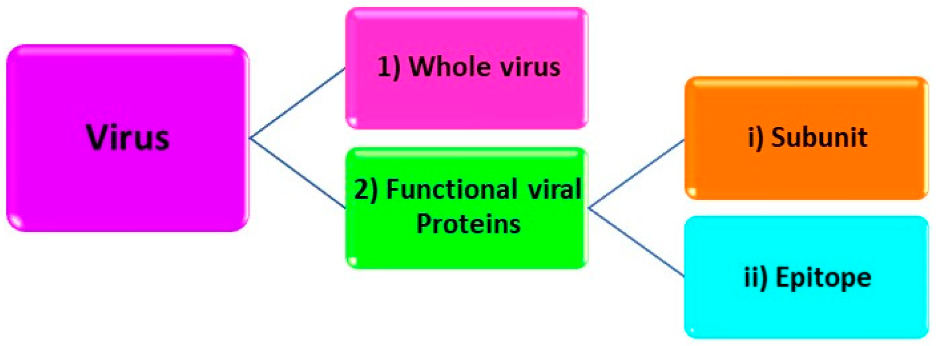 Biomimetics 07 00058 g003