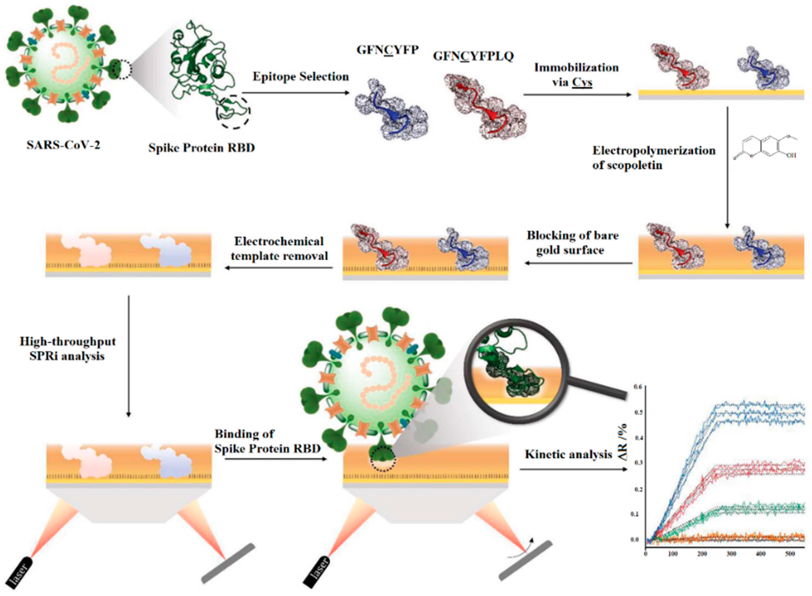 Biomimetics 07 00058 g006