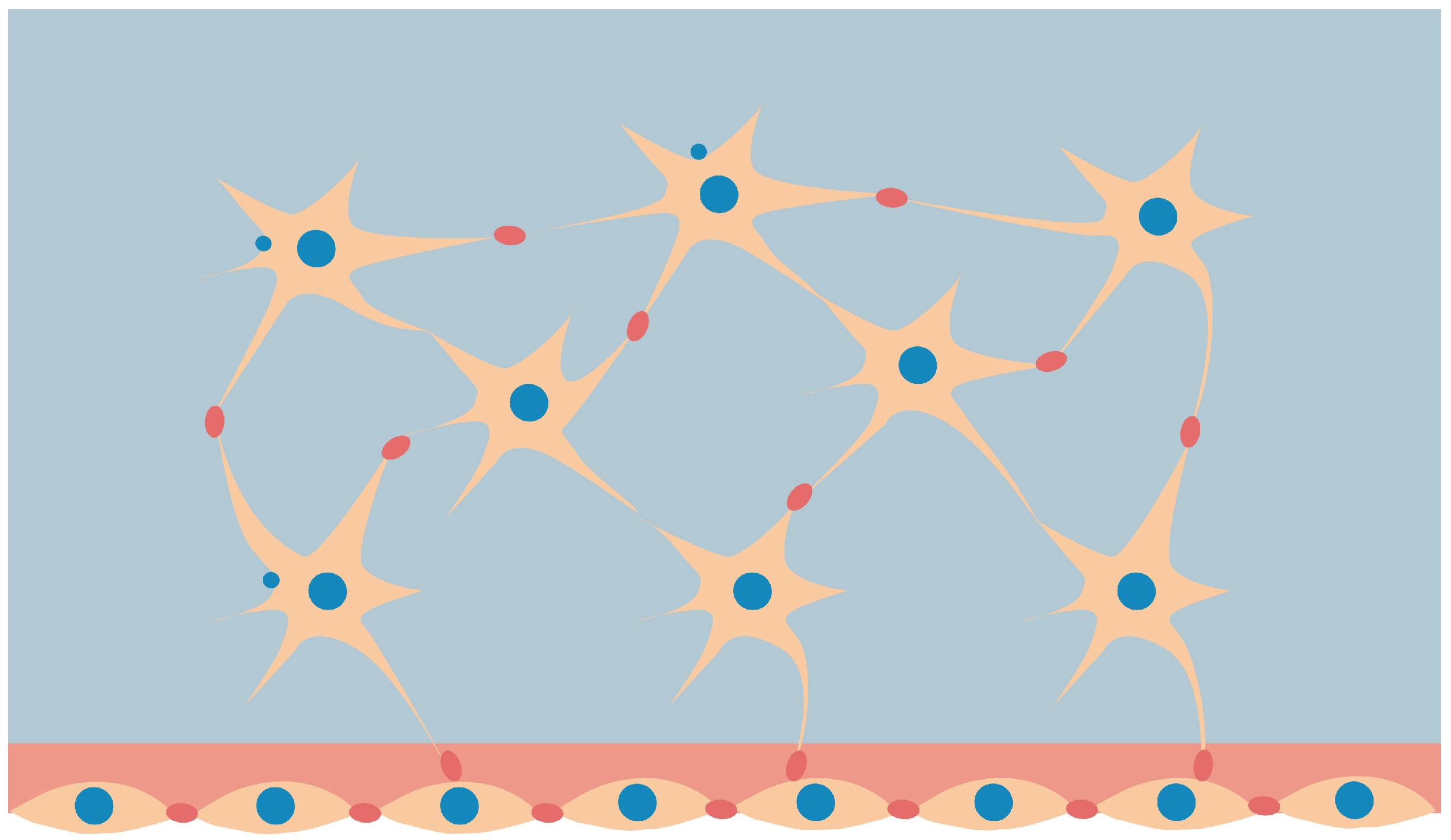 Biomimetics 07 00059 g001