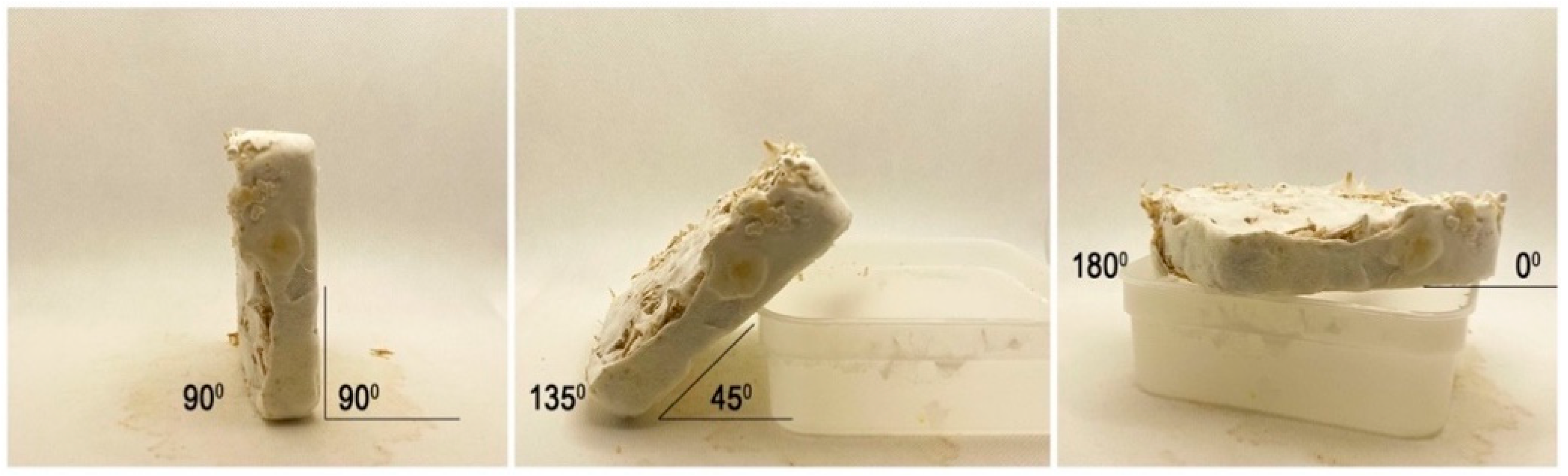 Biomimetics 07 00060 g002