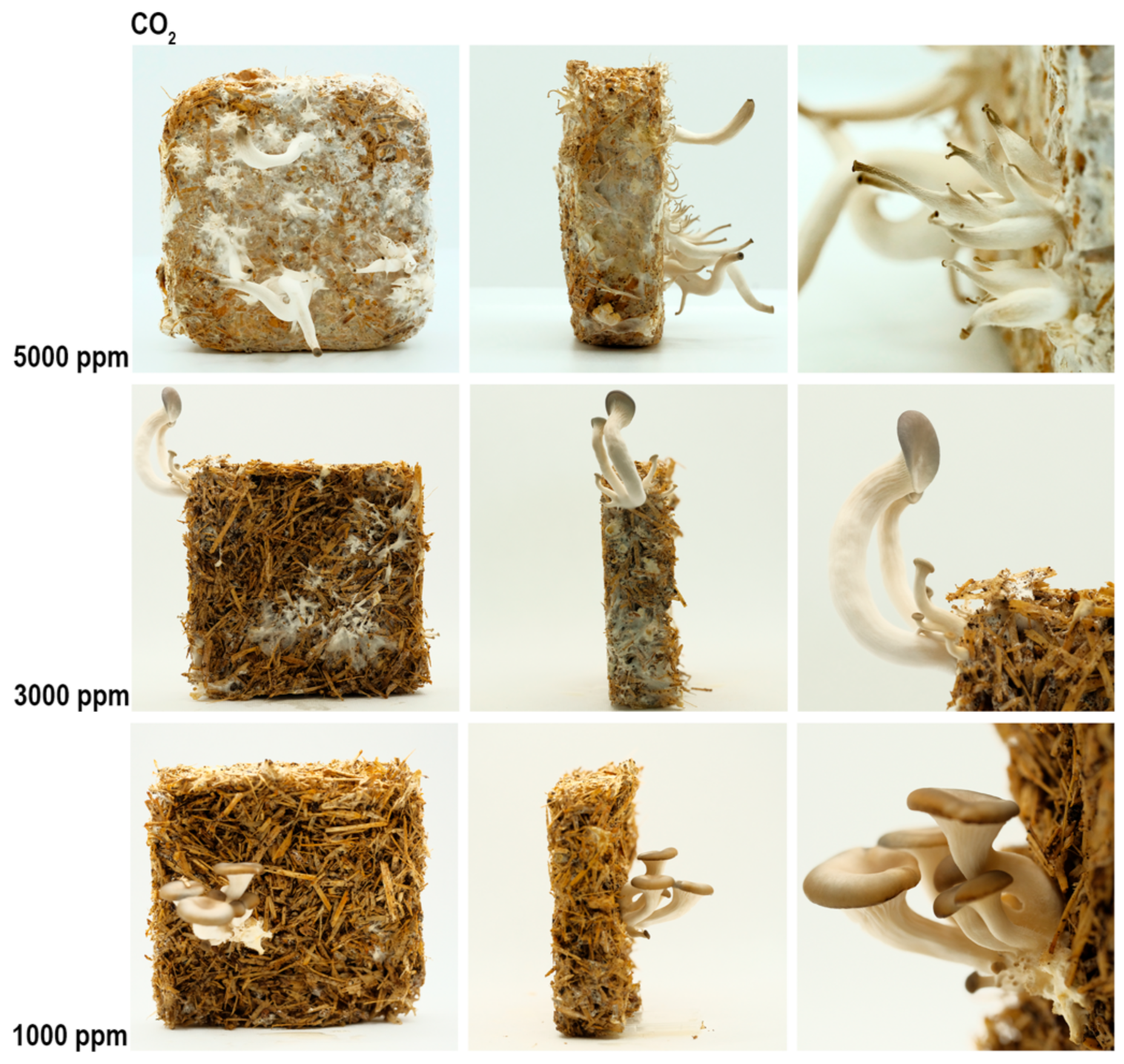 Biomimetics 07 00060 g007
