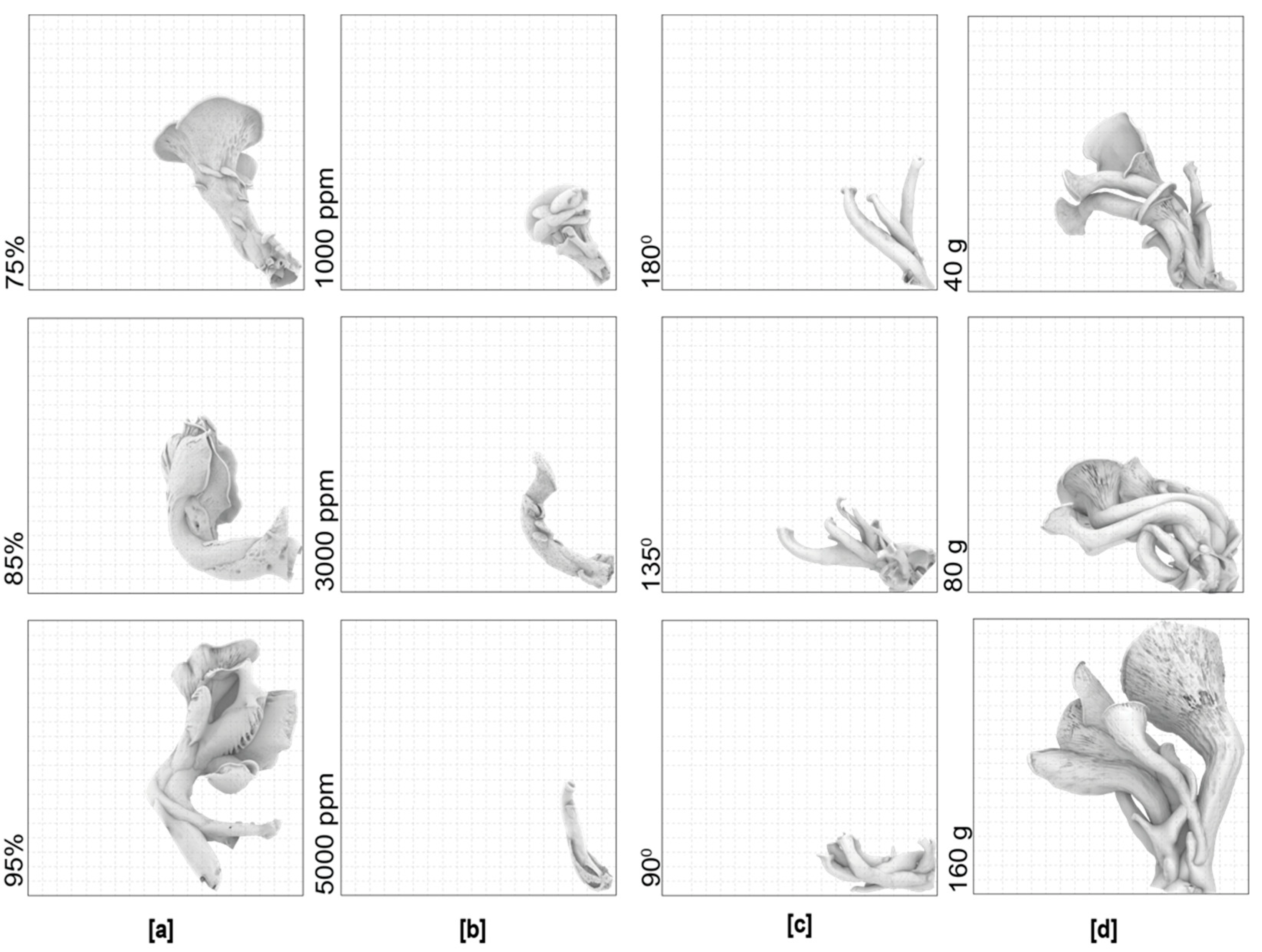 Biomimetics 07 00060 g011
