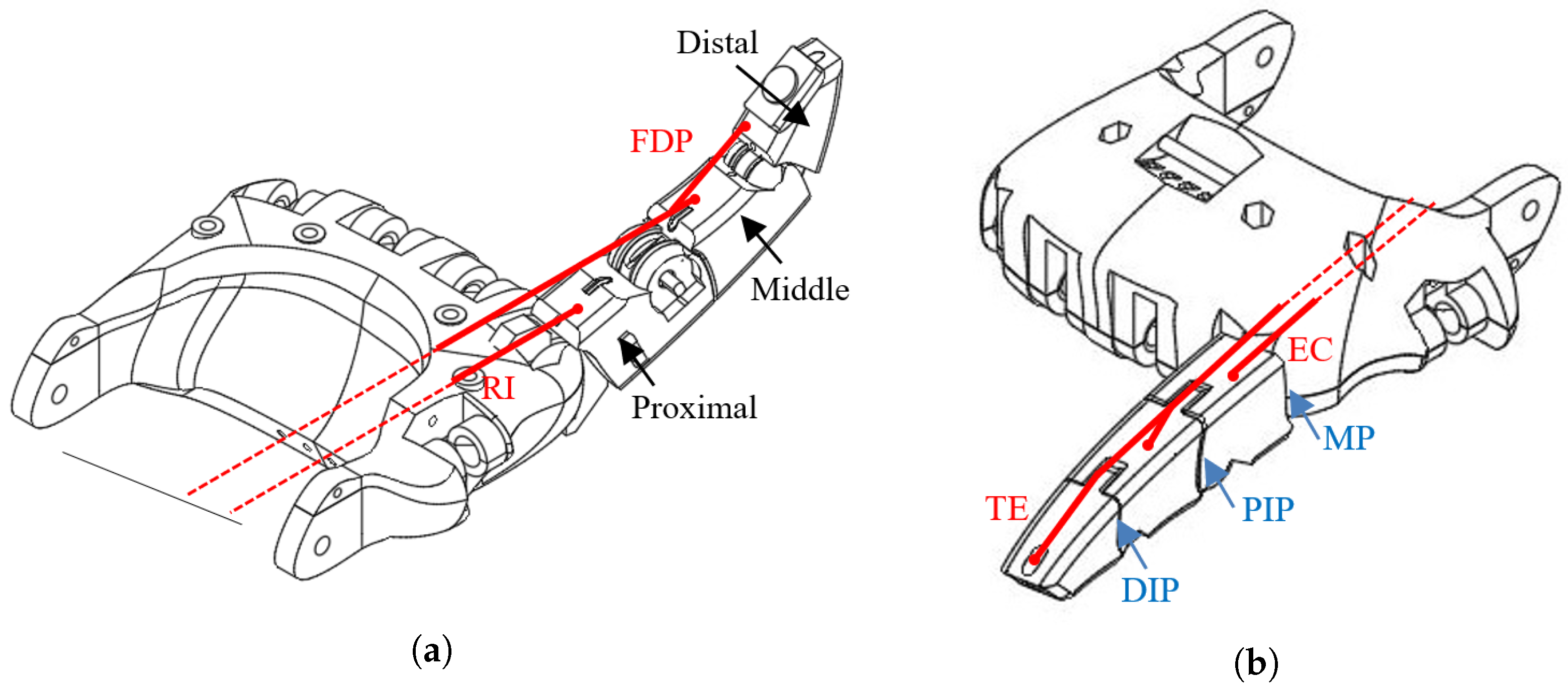 Biomimetics 07 00062 g001