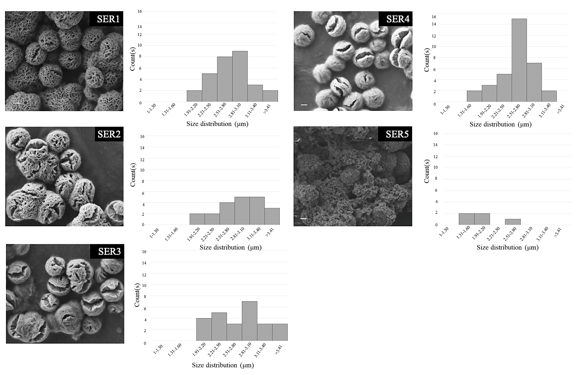 Biomimetics 07 00064 g002