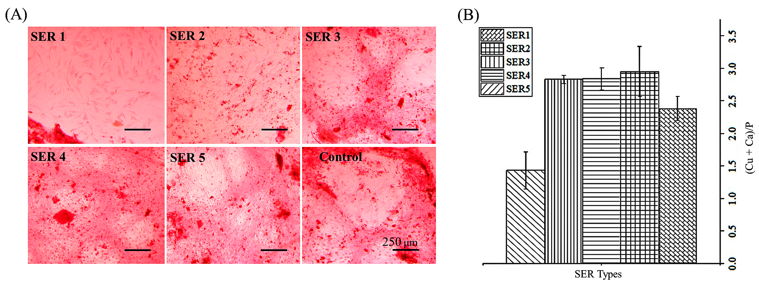Biomimetics 07 00064 g005