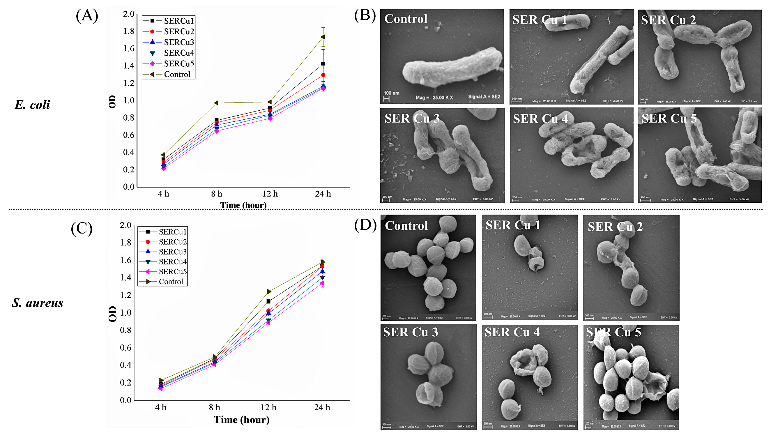 Biomimetics 07 00064 g007