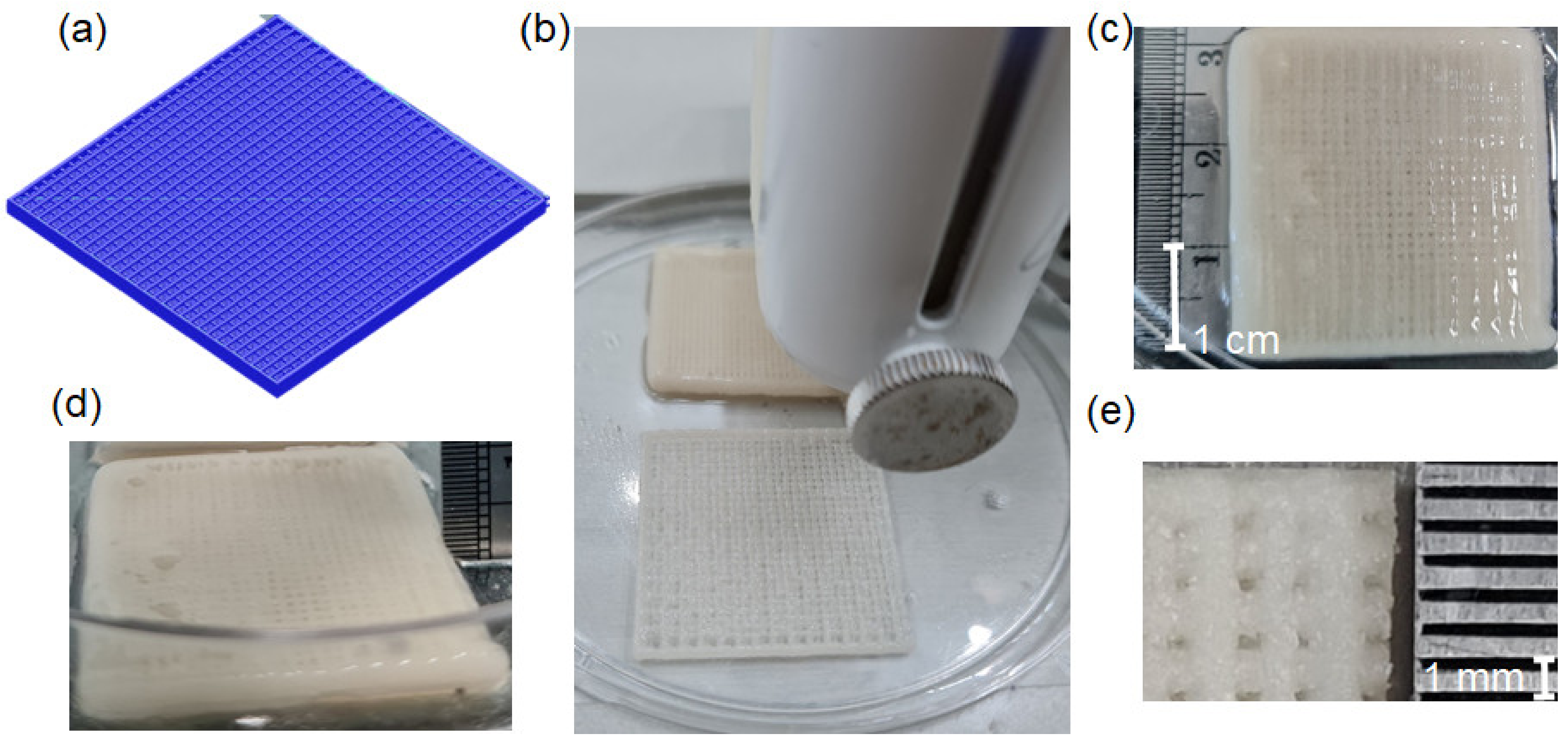 Biomimetics 07 00070 g001