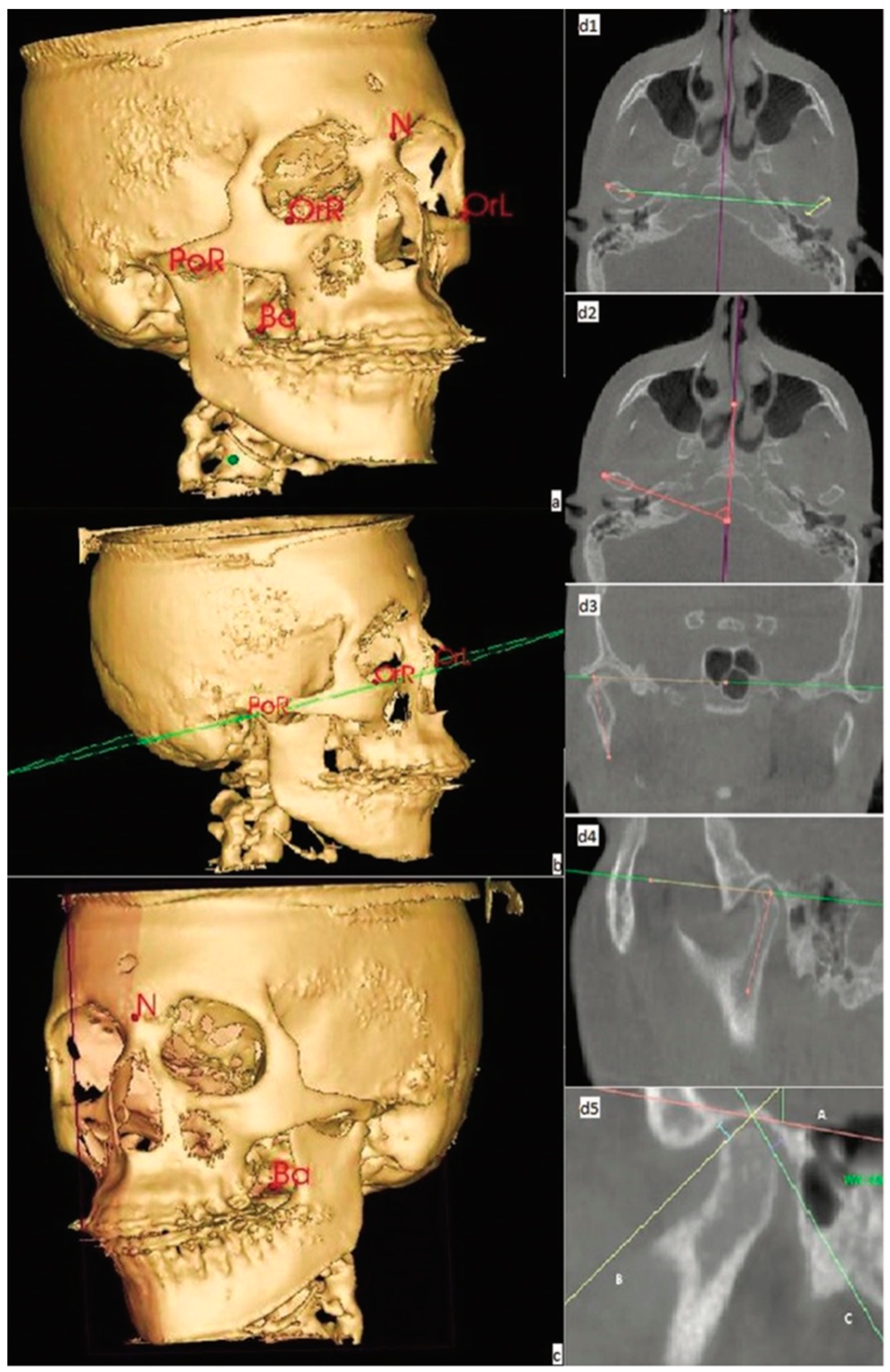 Biomimetics 07 00073 g001