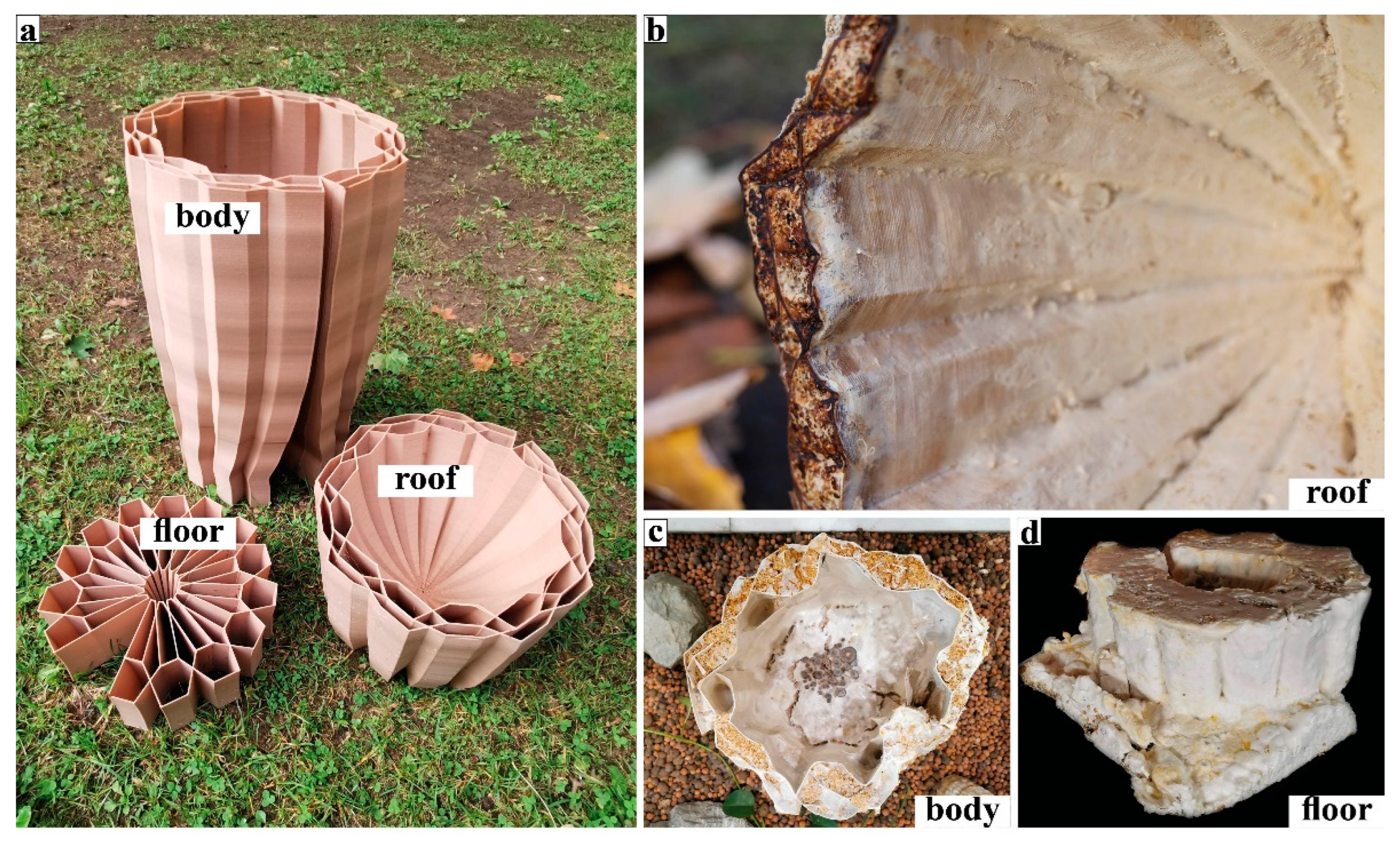 Biomimetics 07 00075 g010