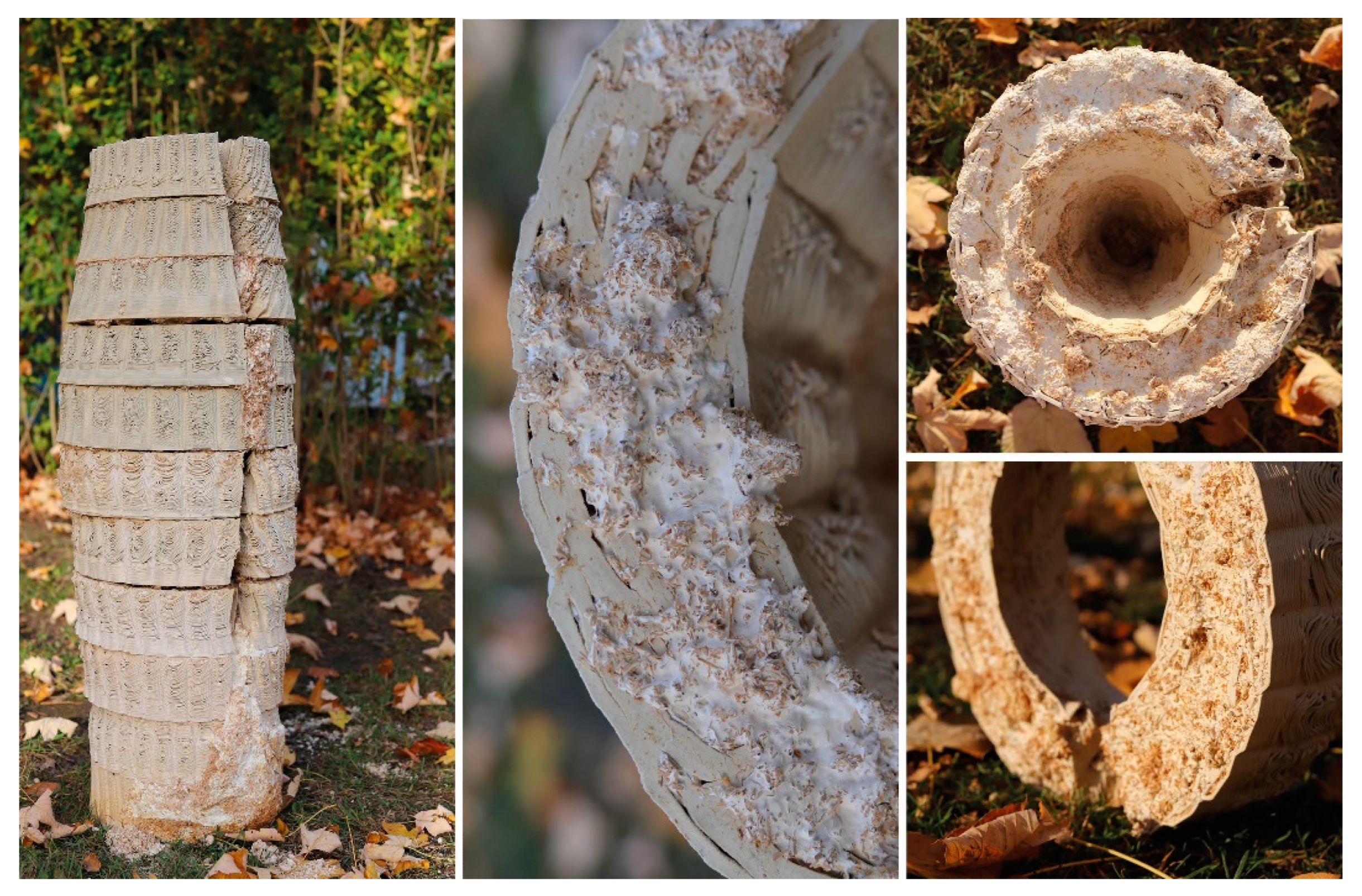 Biomimetics 07 00075 g012