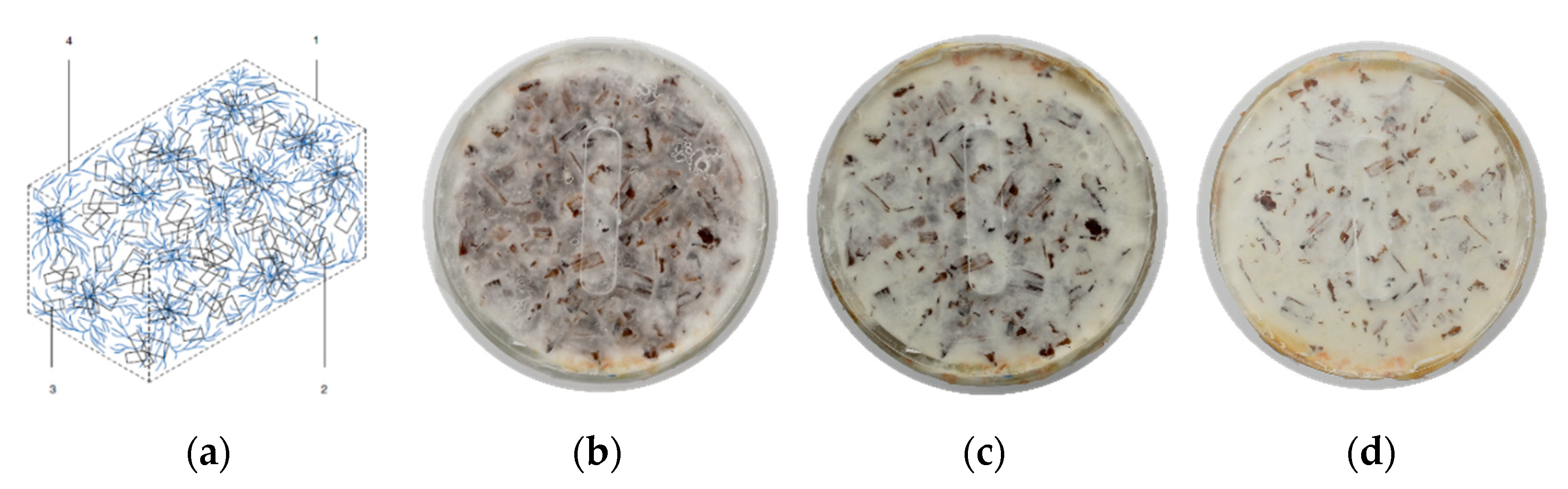 Biomimetics 07 00078 g001