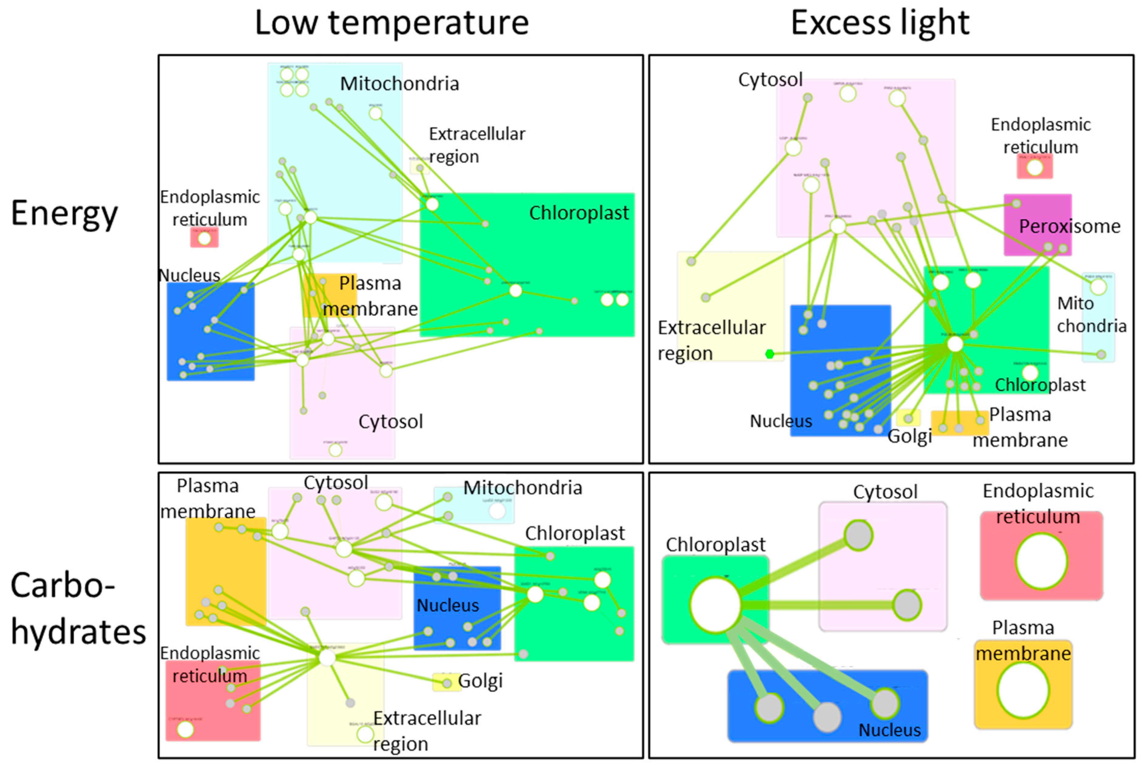 Biomimetics 07 00083 g003
