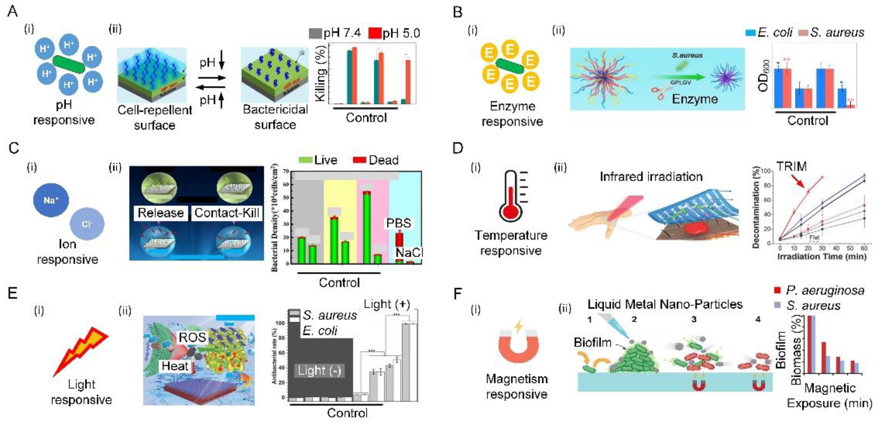 Biomimetics 07 00088 g006