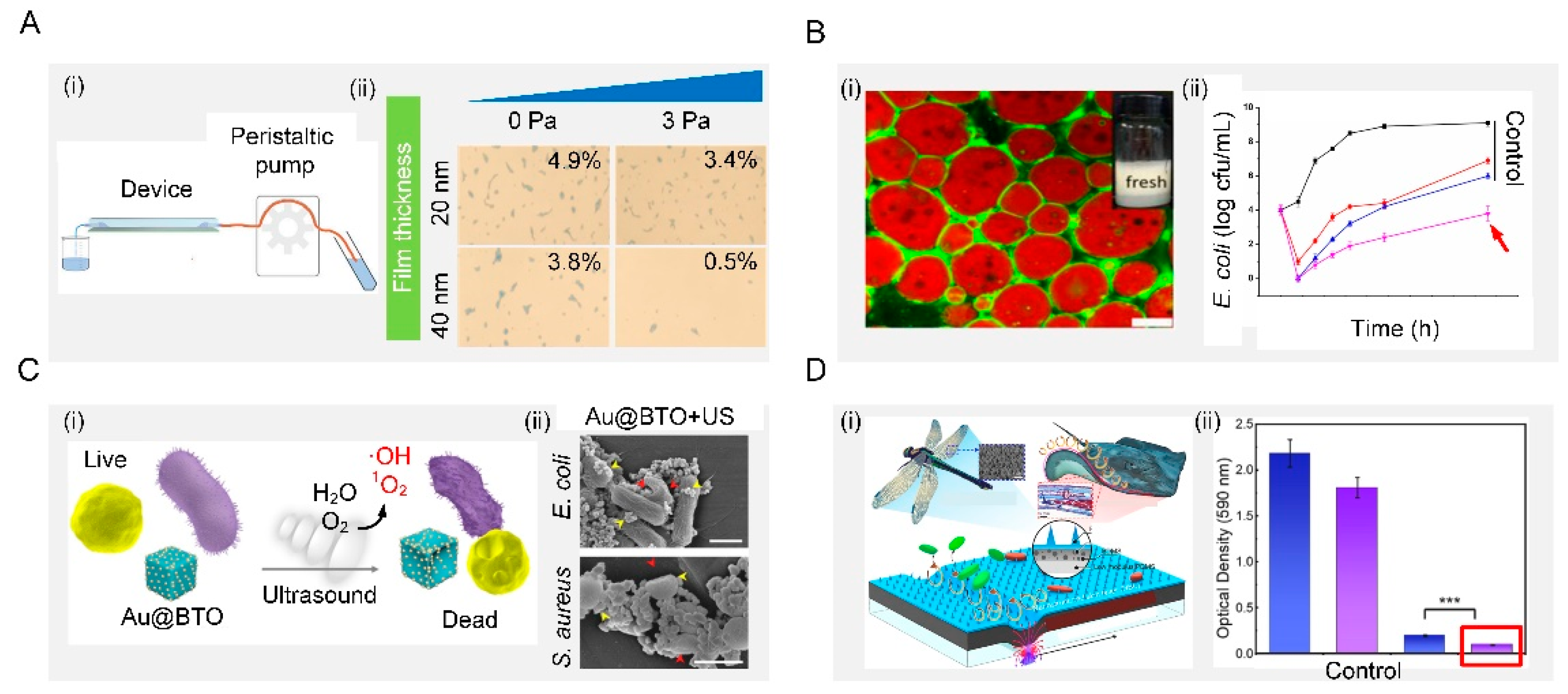 Biomimetics 07 00088 g007