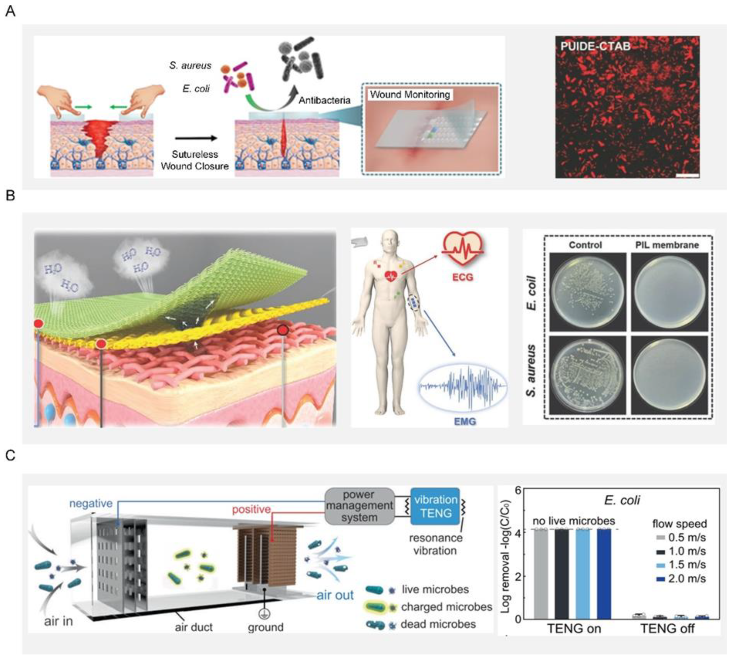 Biomimetics 07 00088 g008