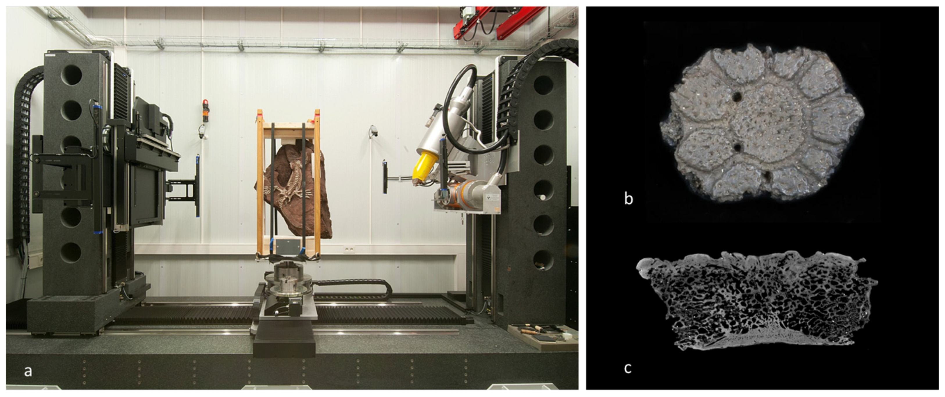 Biomimetics 07 00089 g002 Biomimetics 07 00089 g002