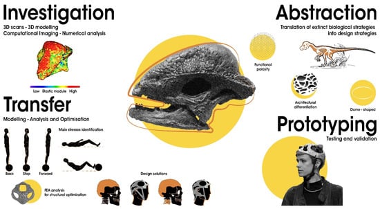 Biomimetics 07 00089 g006