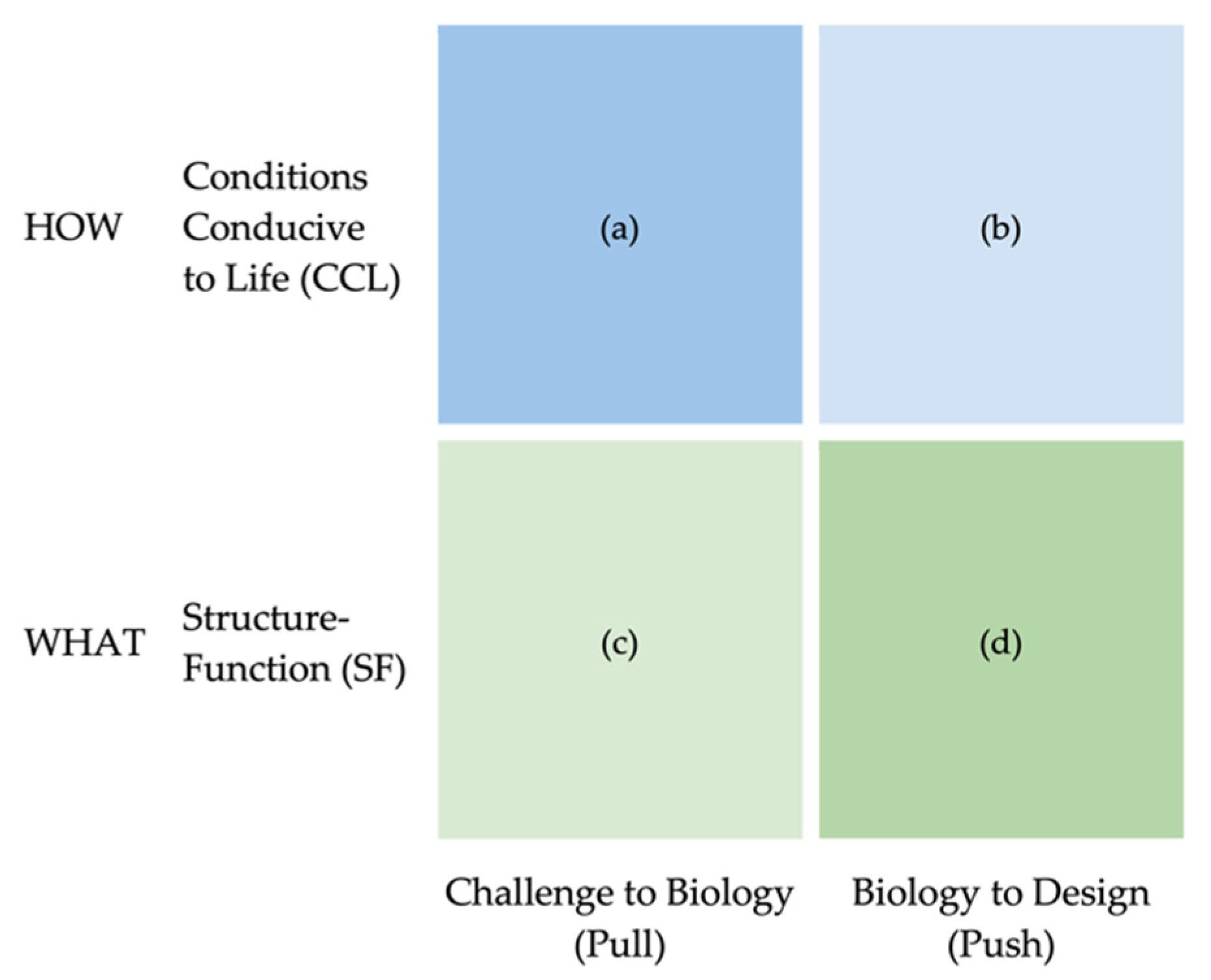 Biomimetics 07 00090 g001