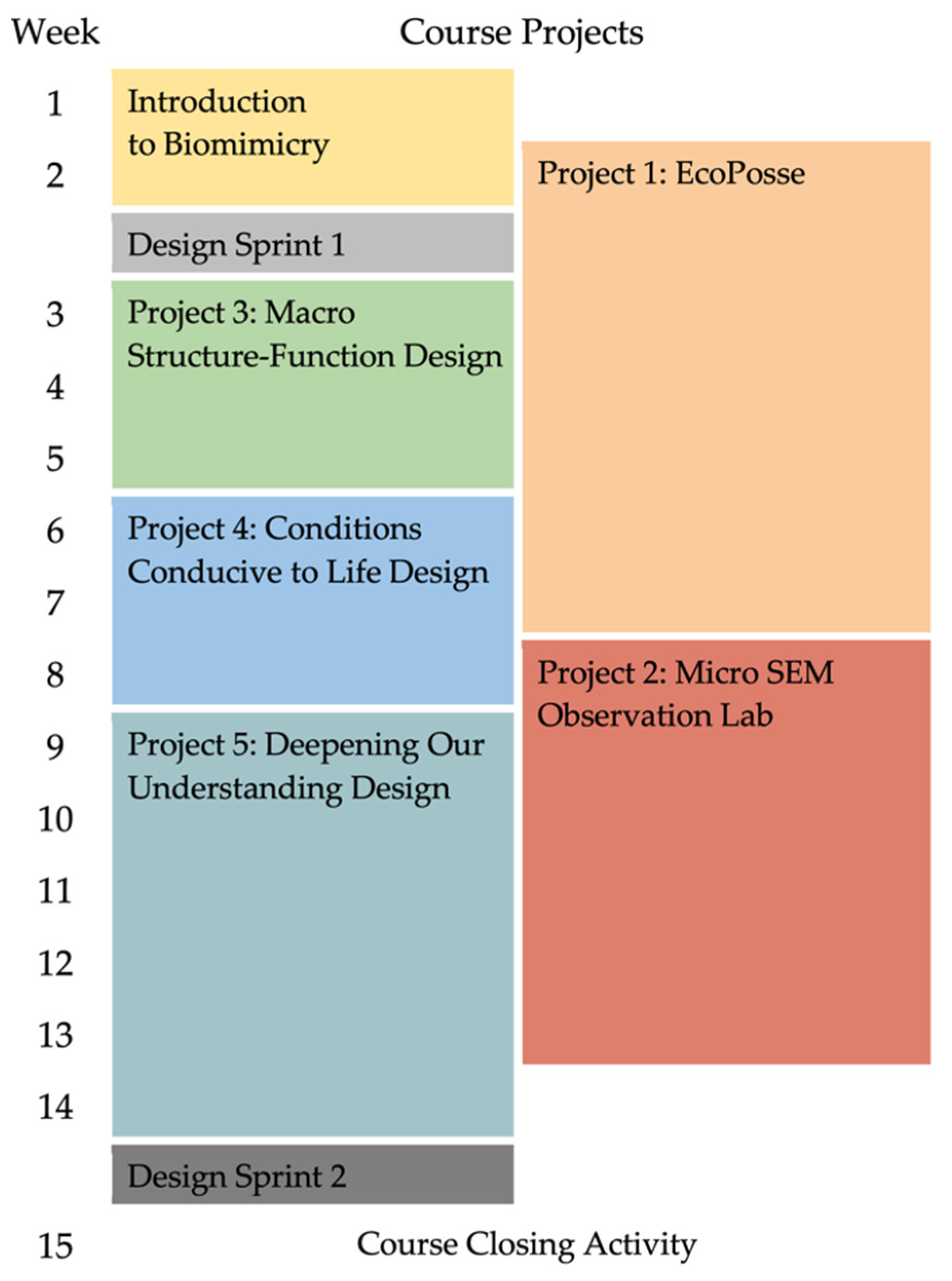Biomimetics 07 00090 g002