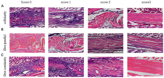 Biomimetics 07 00092 g0a3 550