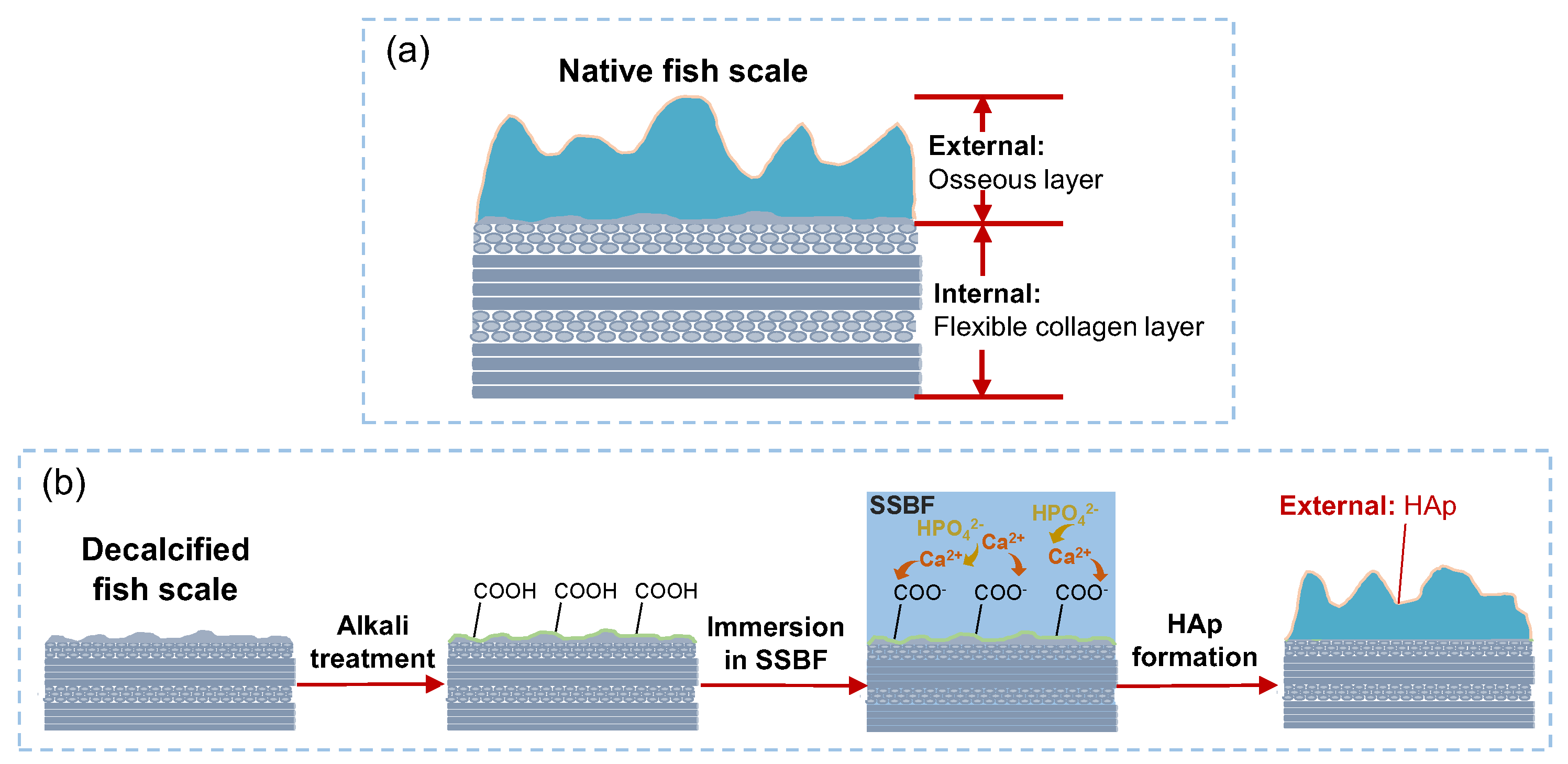 Biomimetics 07 00097 sch001