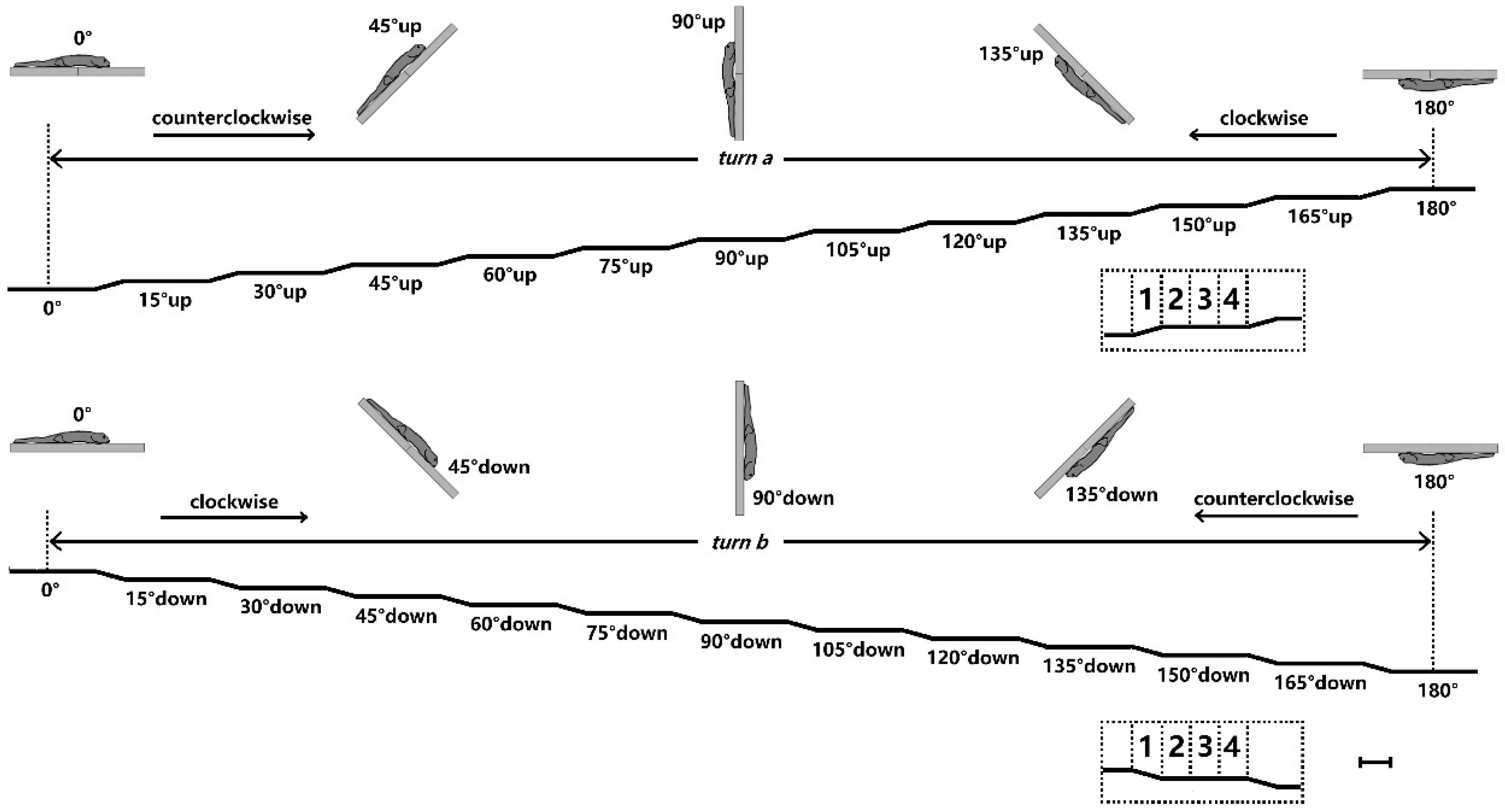 Biomimetics 07 00098 g002