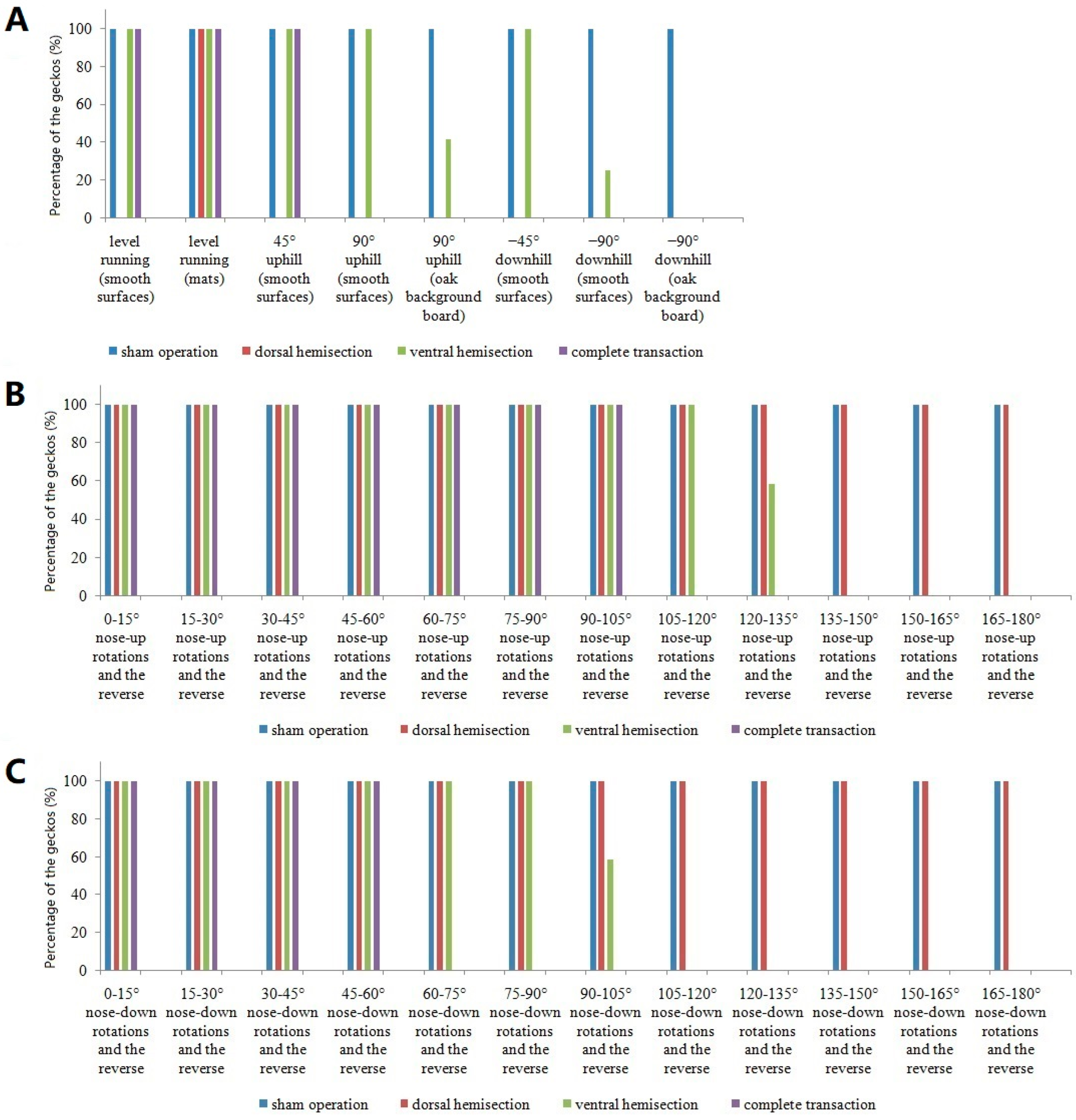 Biomimetics 07 00098 g005