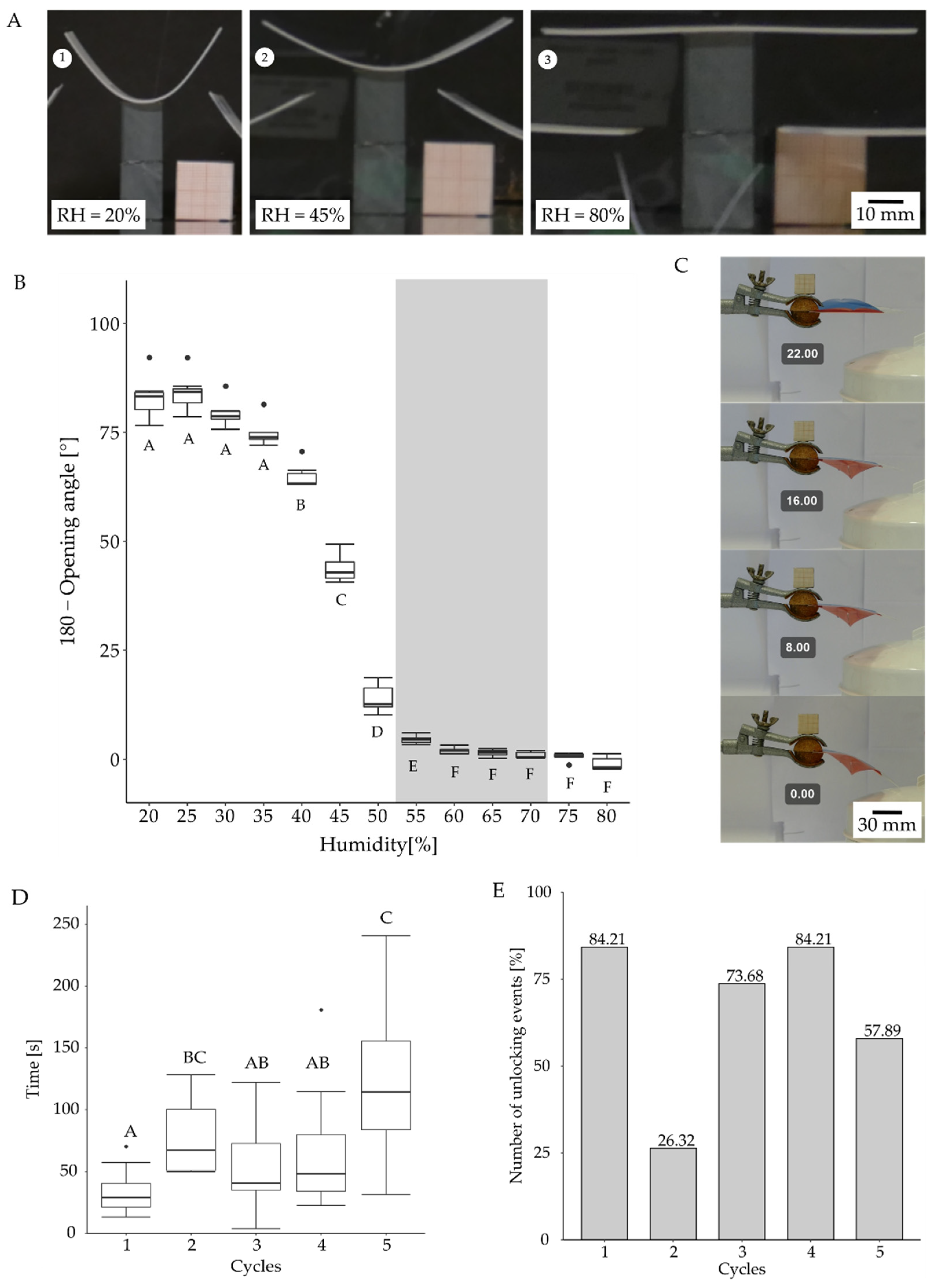 Biomimetics 07 00099 g007