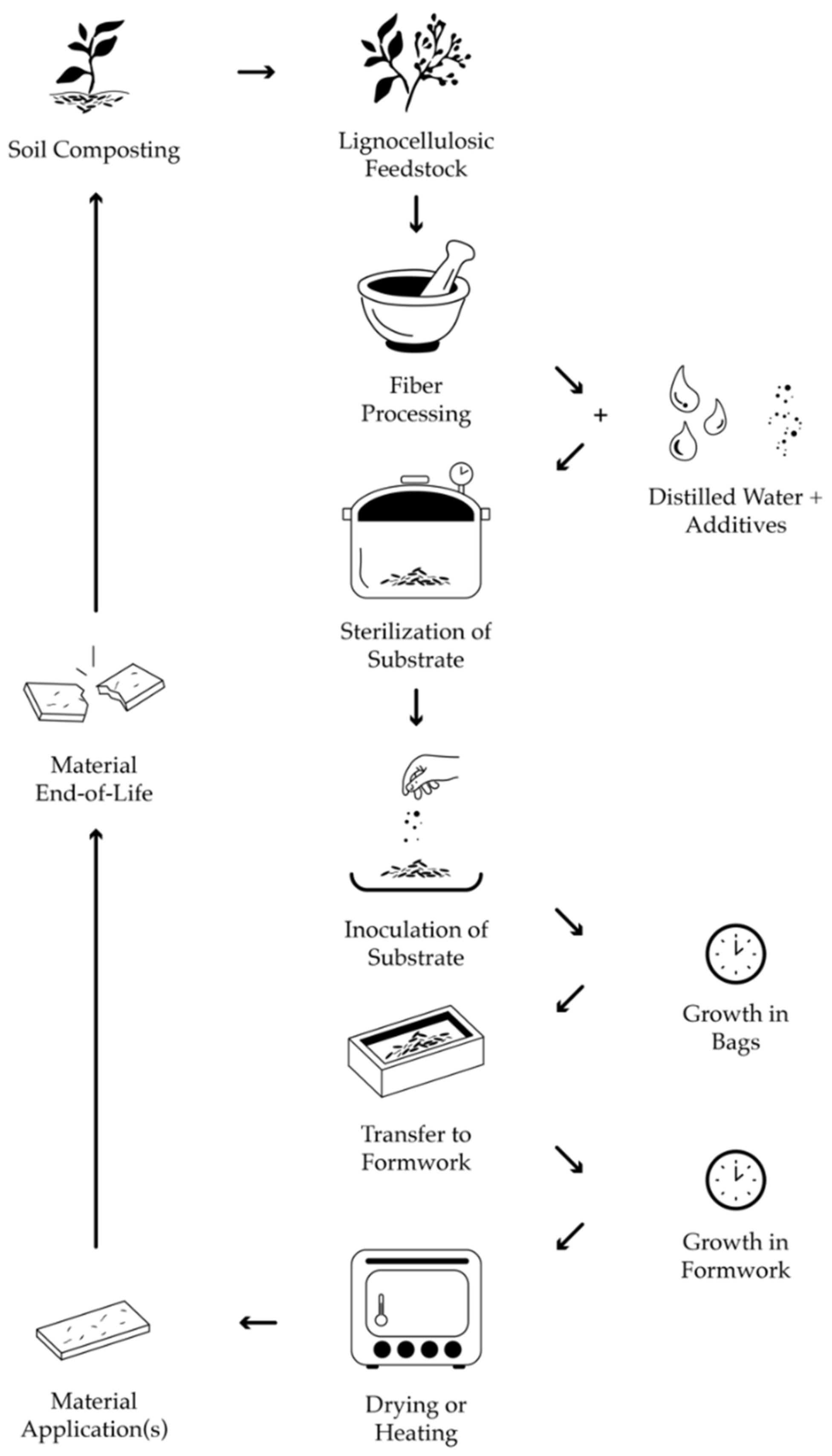 Biomimetics 07 00100 g001