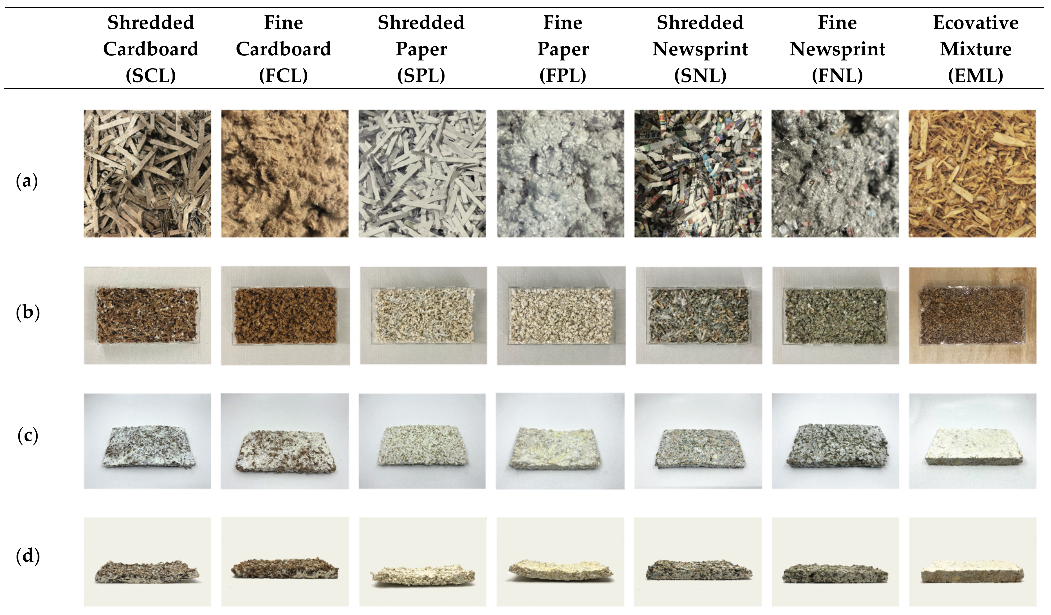 Biomimetics 07 00100 g002