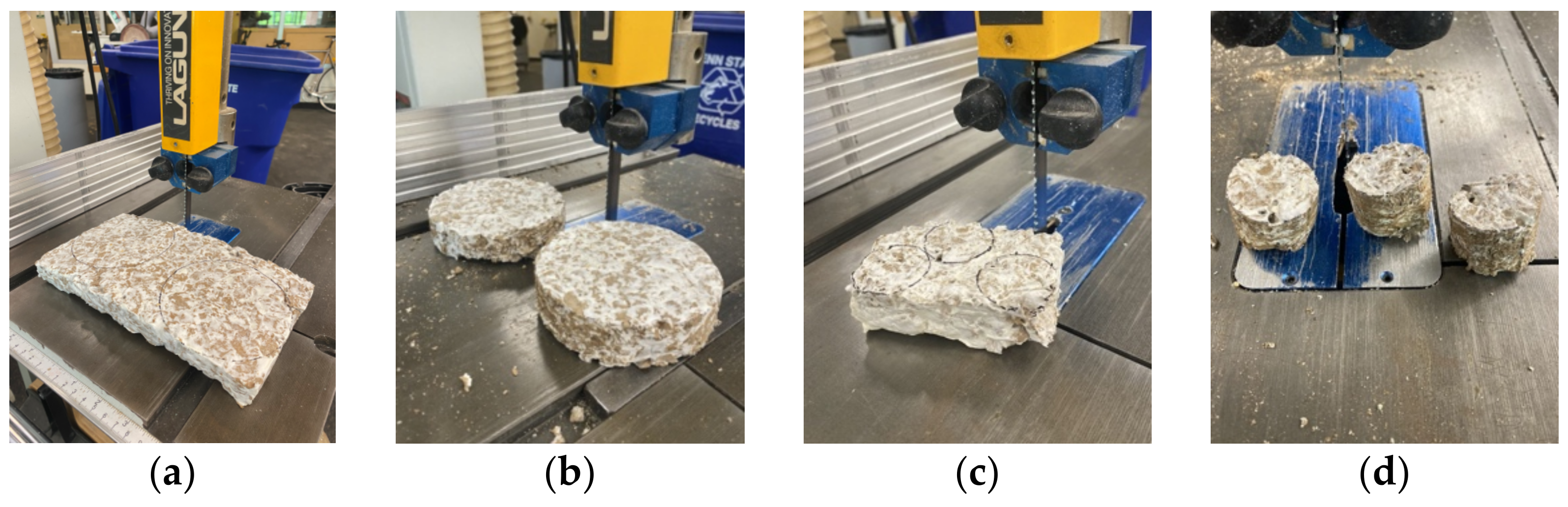 Biomimetics 07 00100 g003