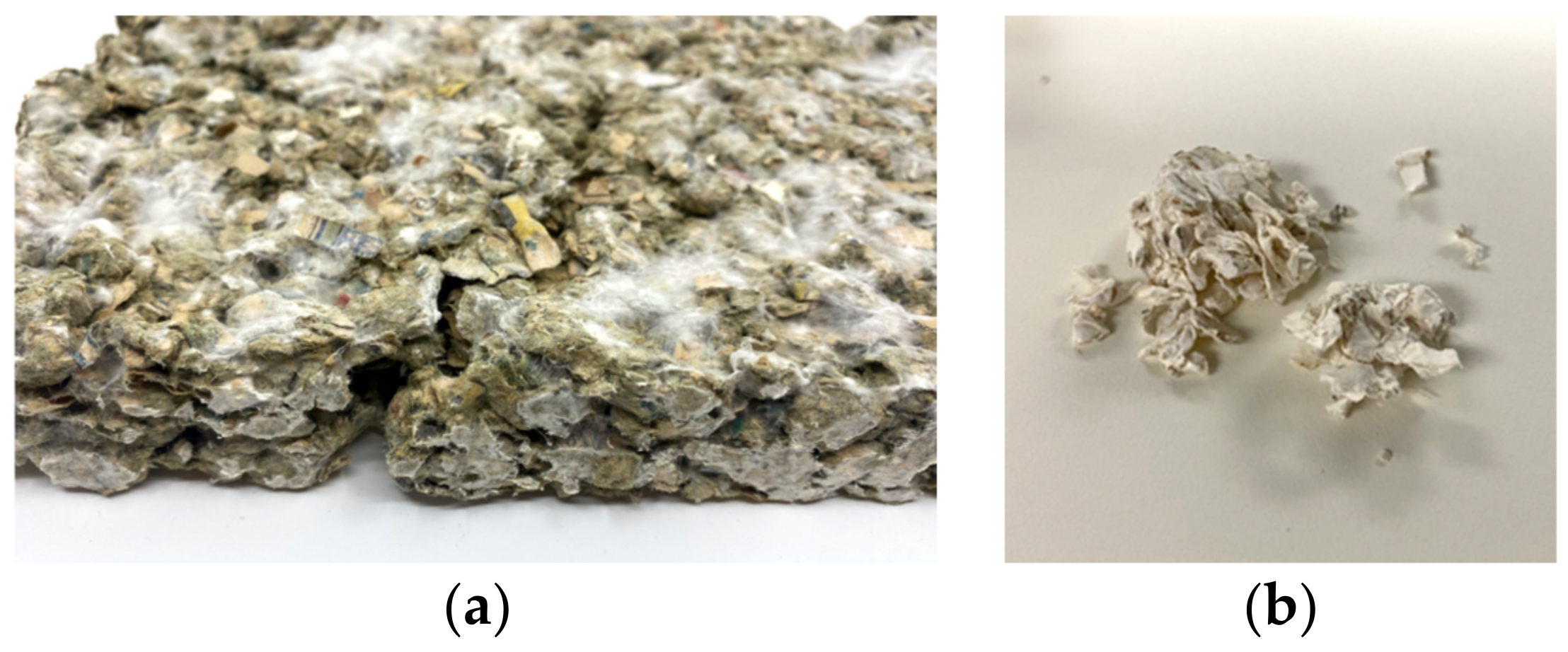 Biomimetics 07 00100 g006