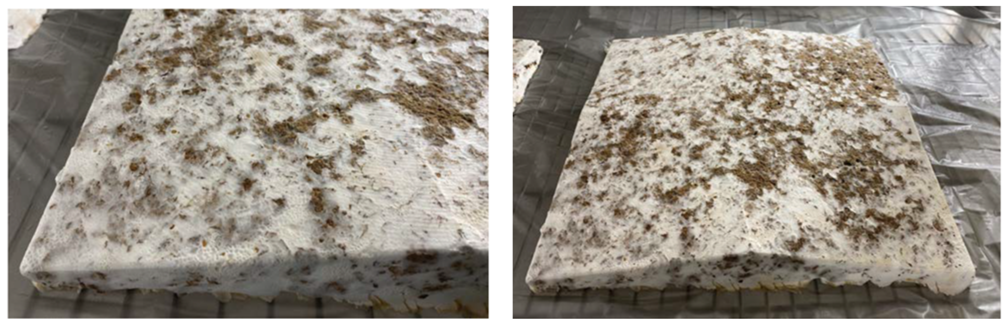 Biomimetics 07 00100 g013