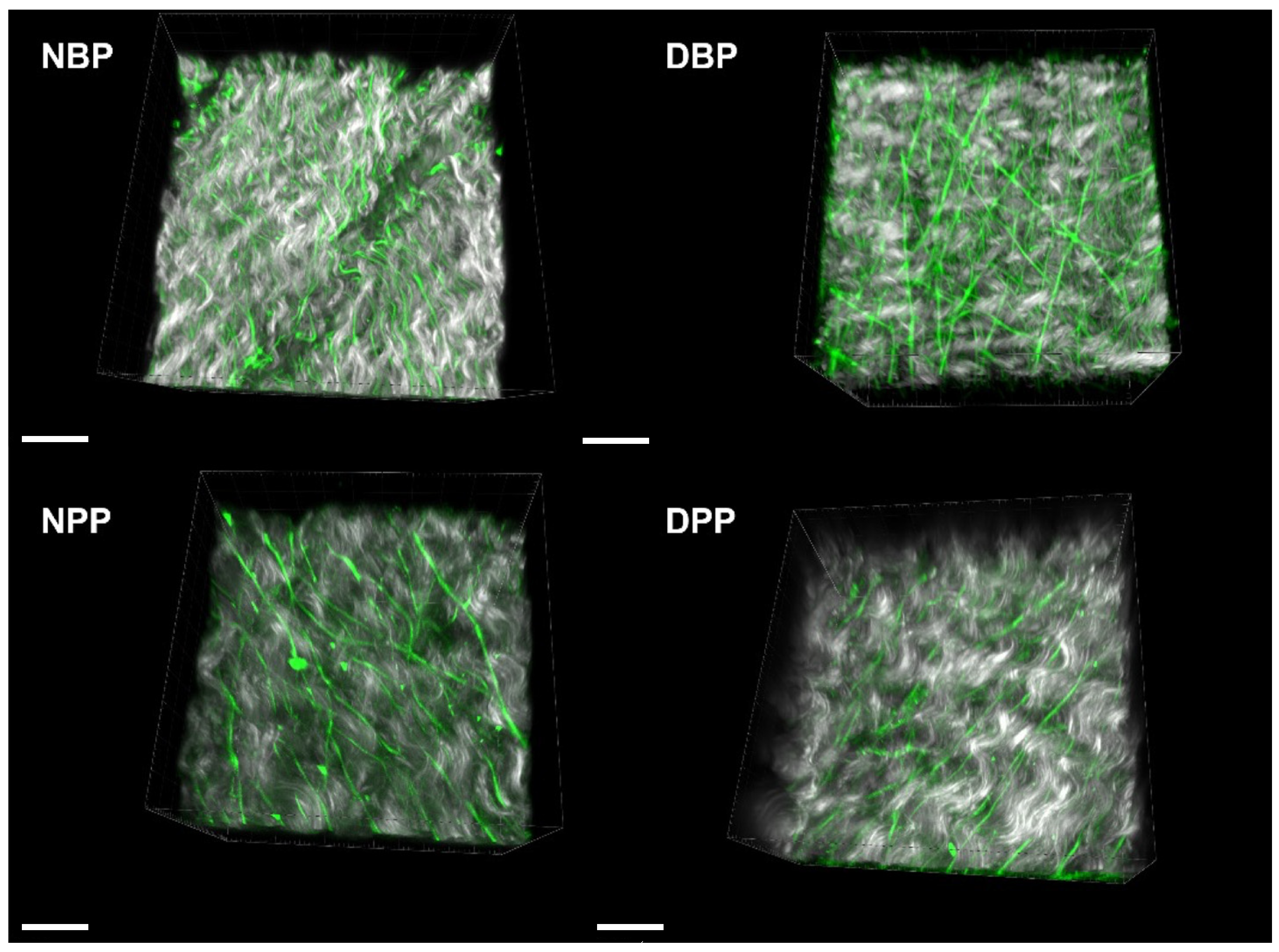 Biomimetics 07 00104 g005