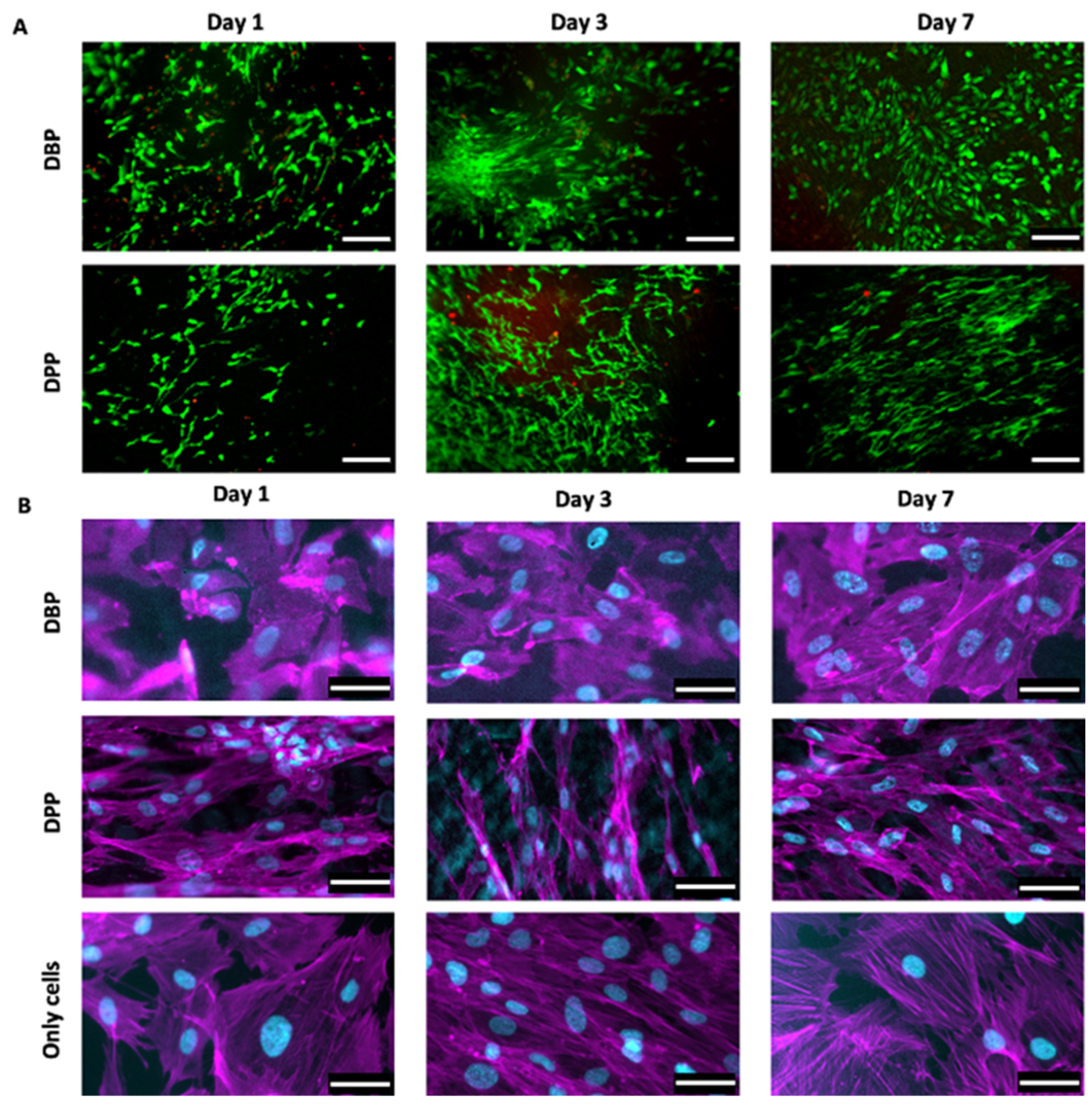 Biomimetics 07 00104 g007