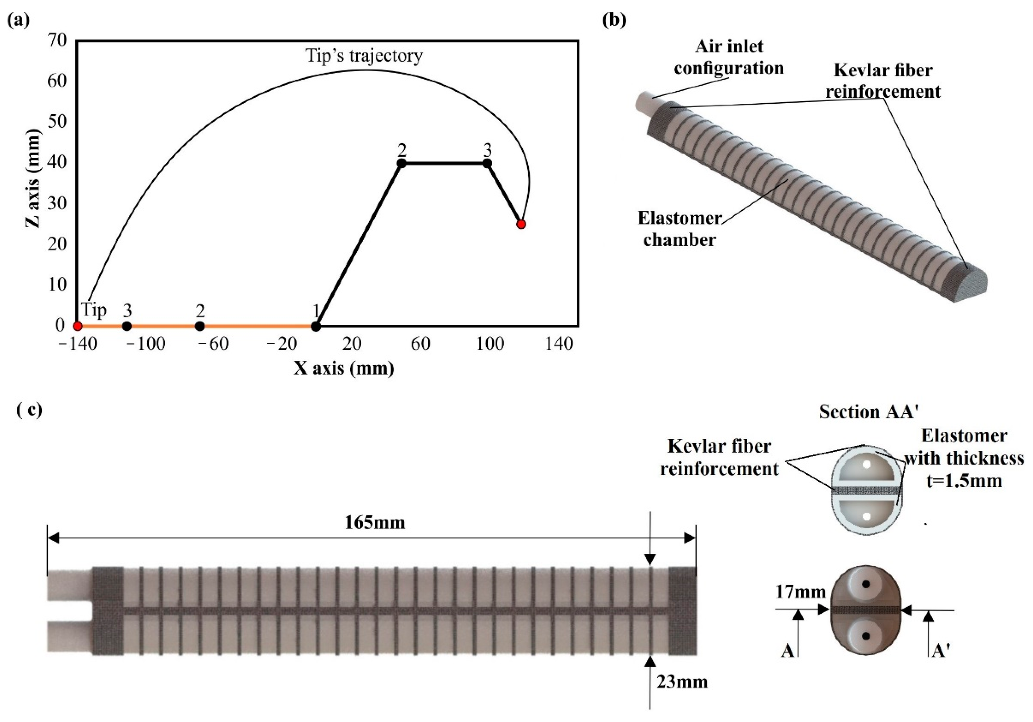 Biomimetics 07 00105 g002